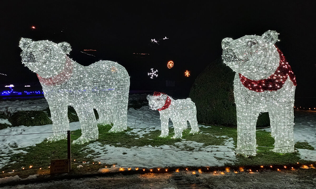 Christmas lights in Varese - The bear family.