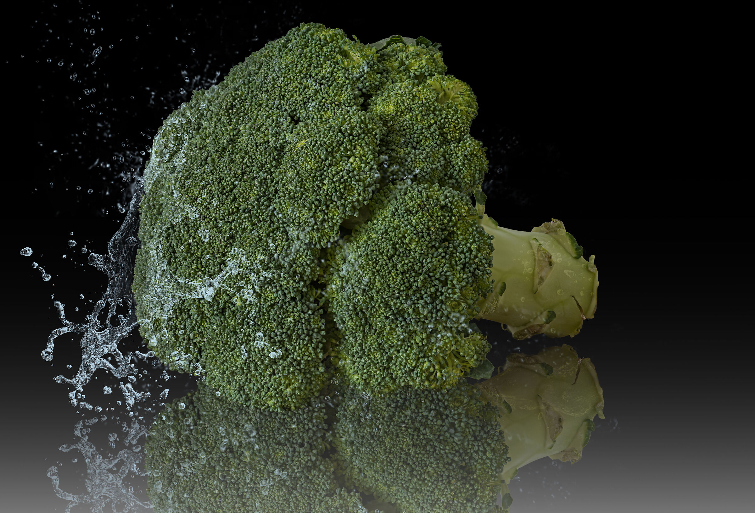 broccolo verde montaggio acqua 3