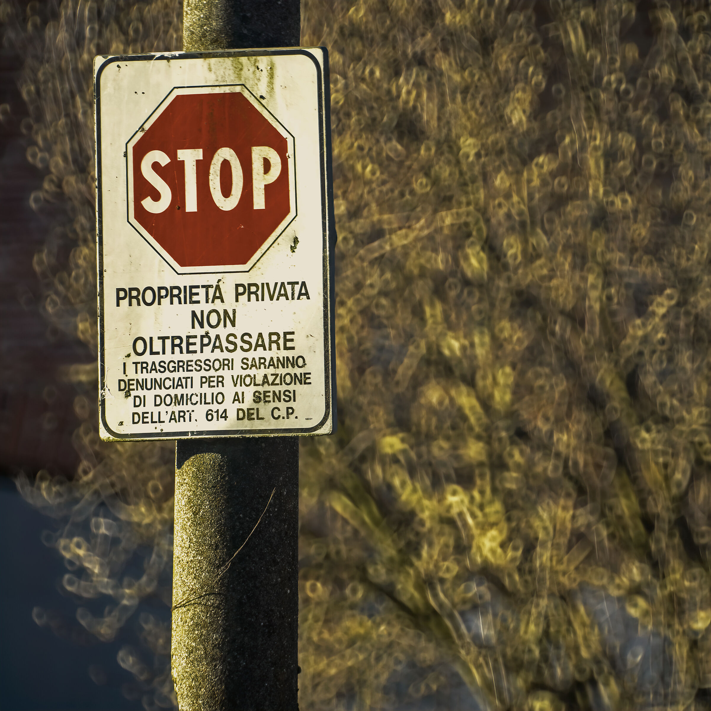 Un originale albero di Natale