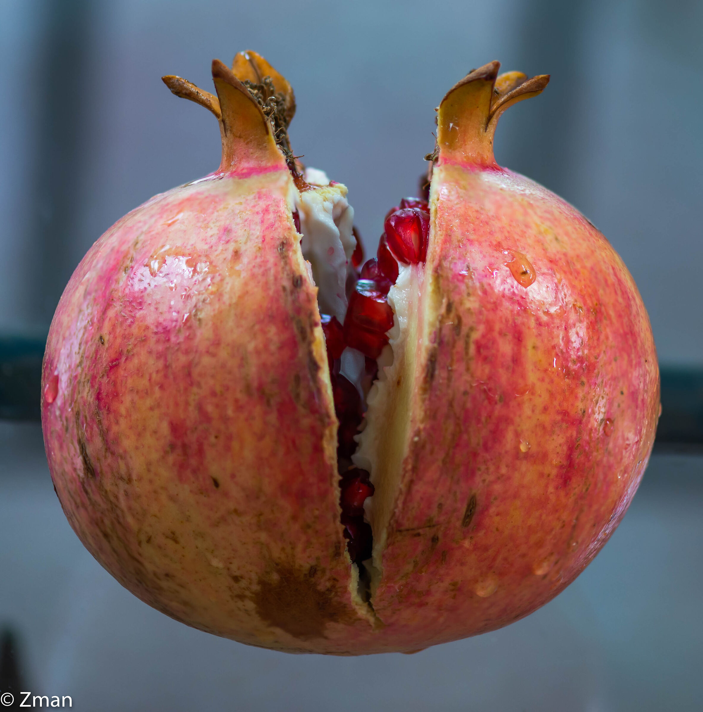 Pomegranate