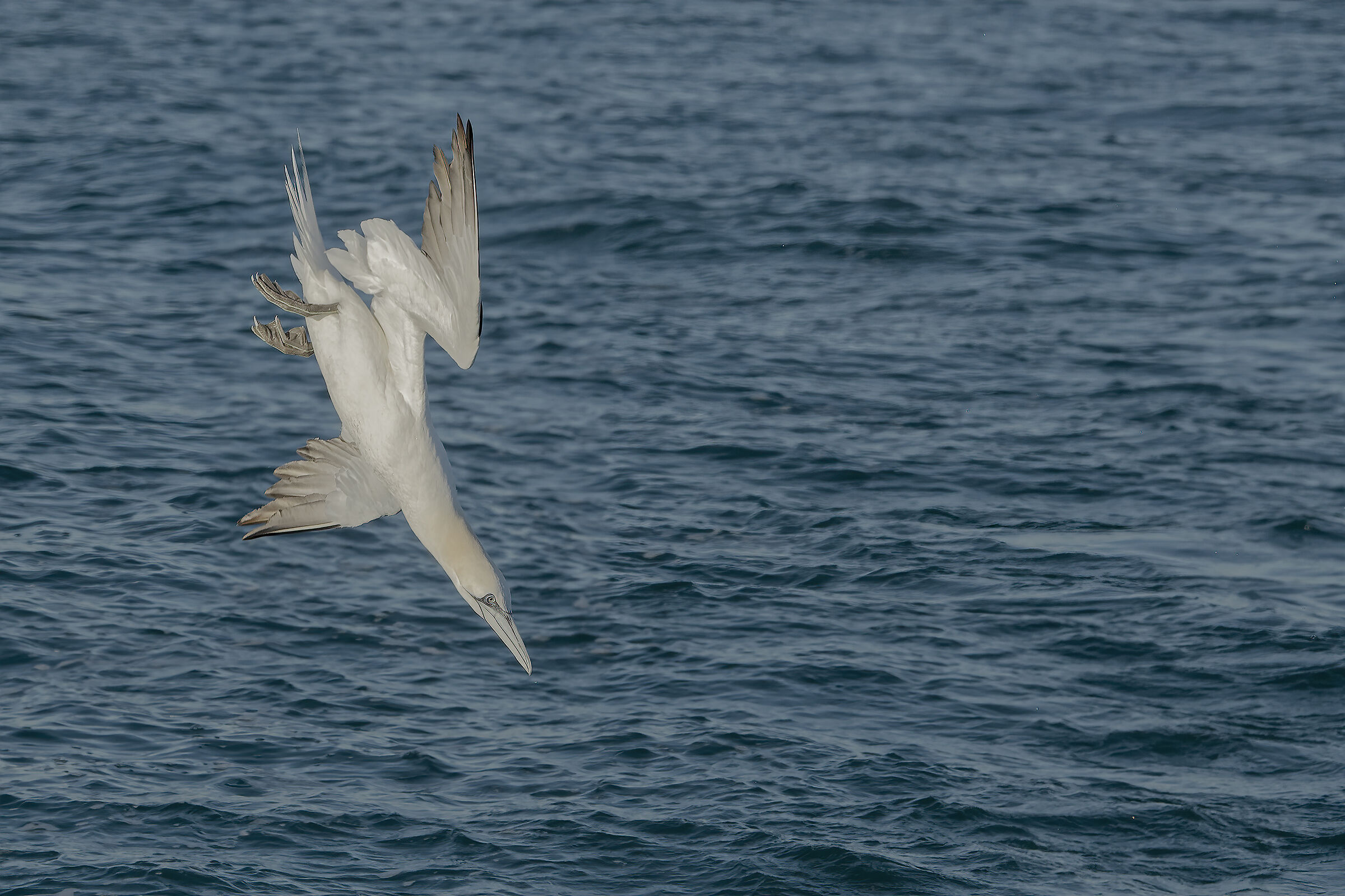 il missile terra aria chiamato sula