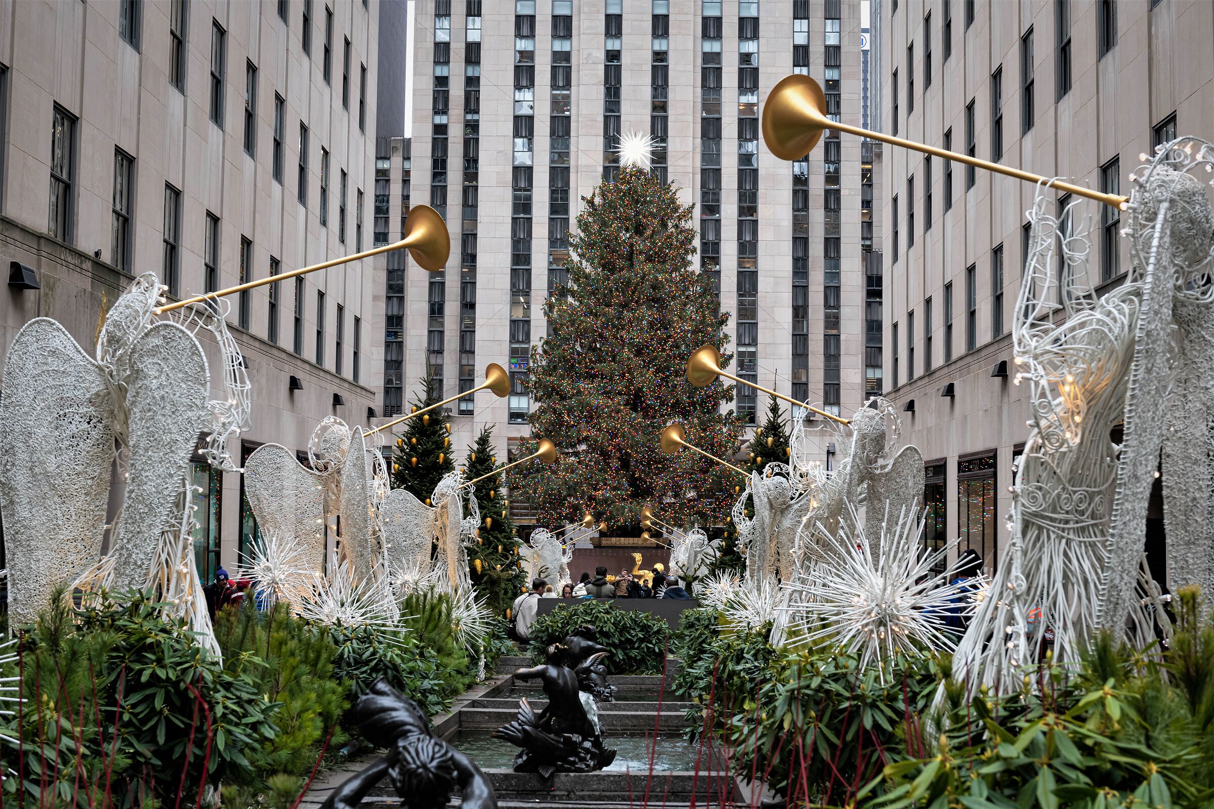 Christmas tree at Rockefeller Center