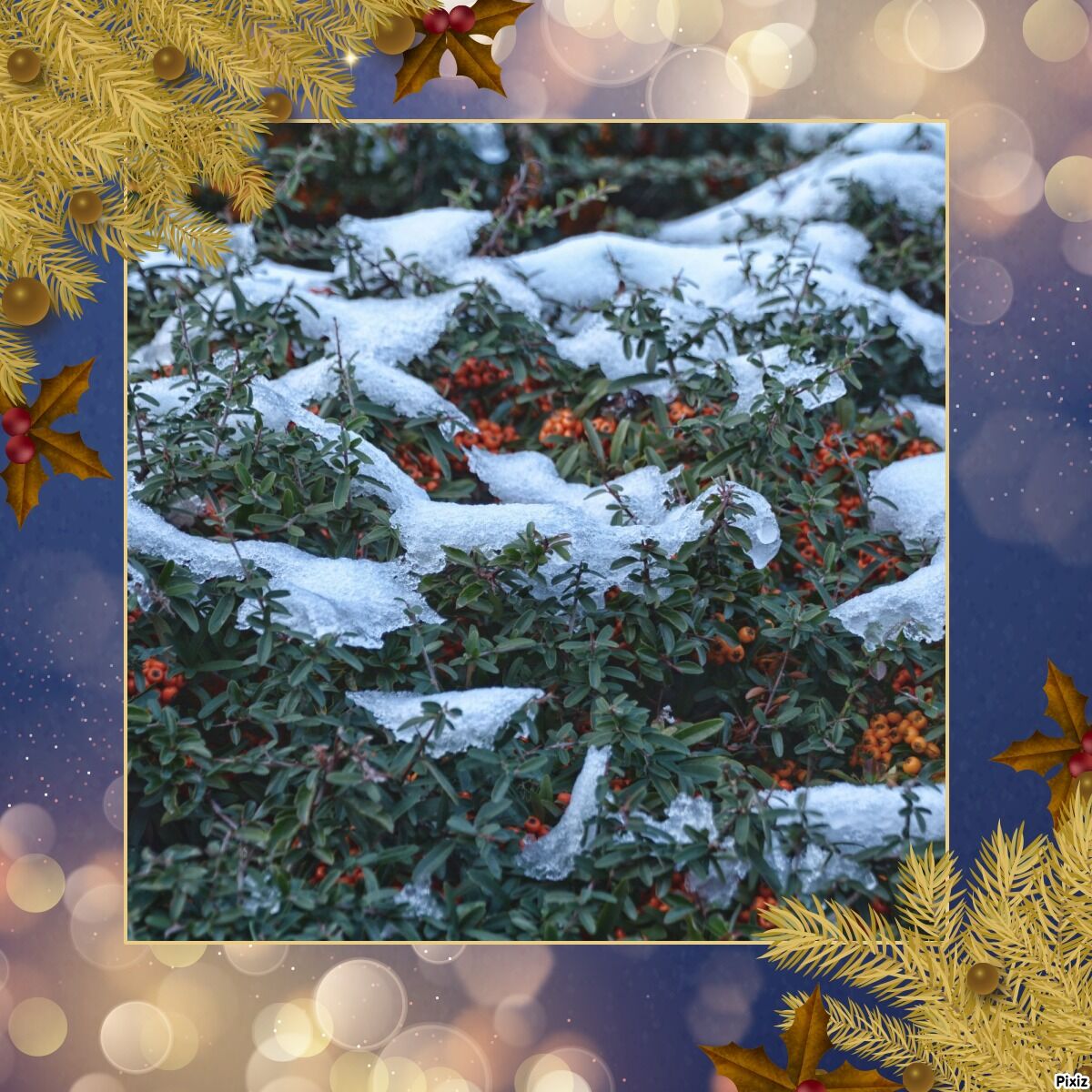 MERRY CHRISTMAS- HAPPY NEW YEAR