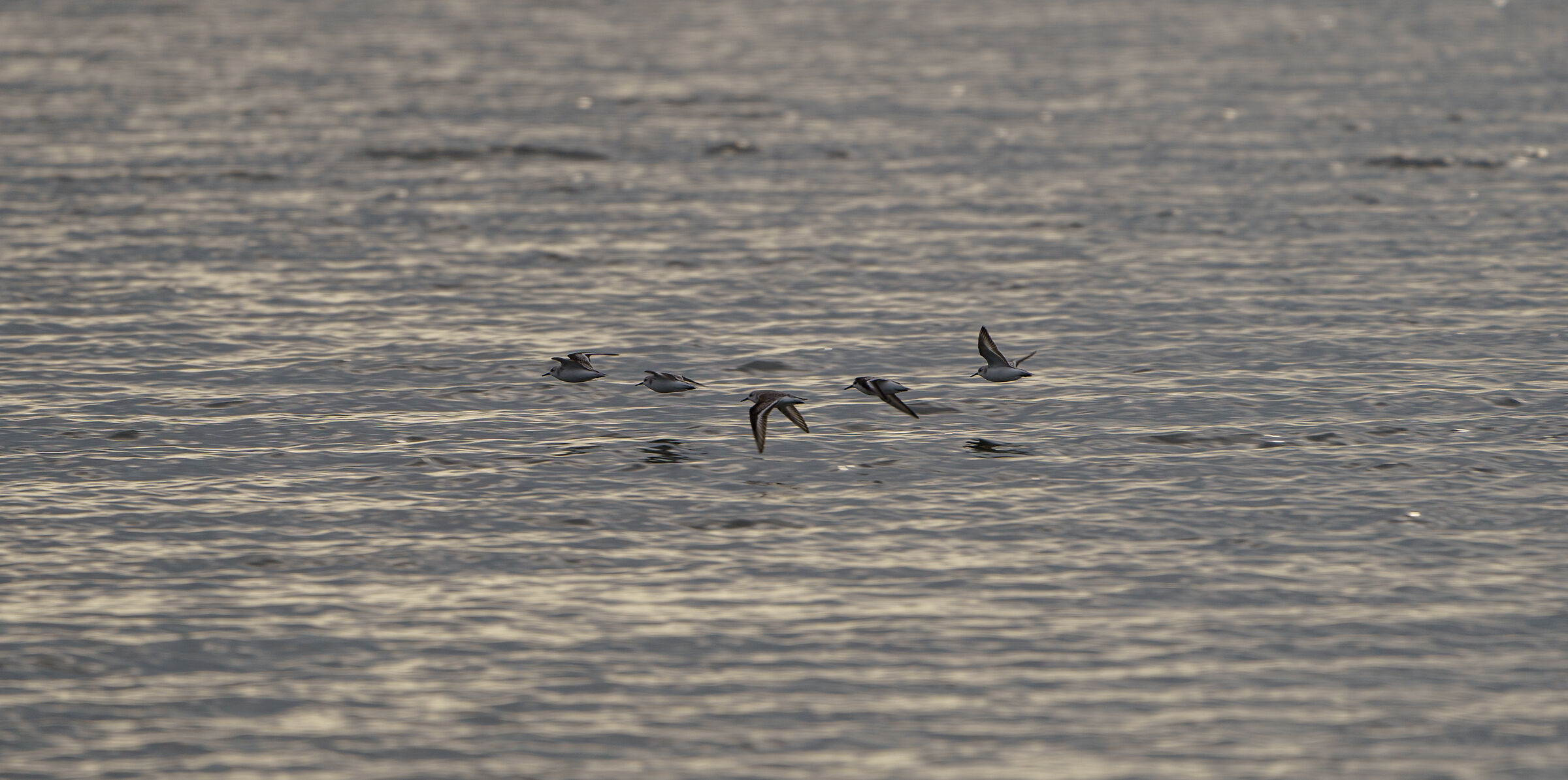 In flight