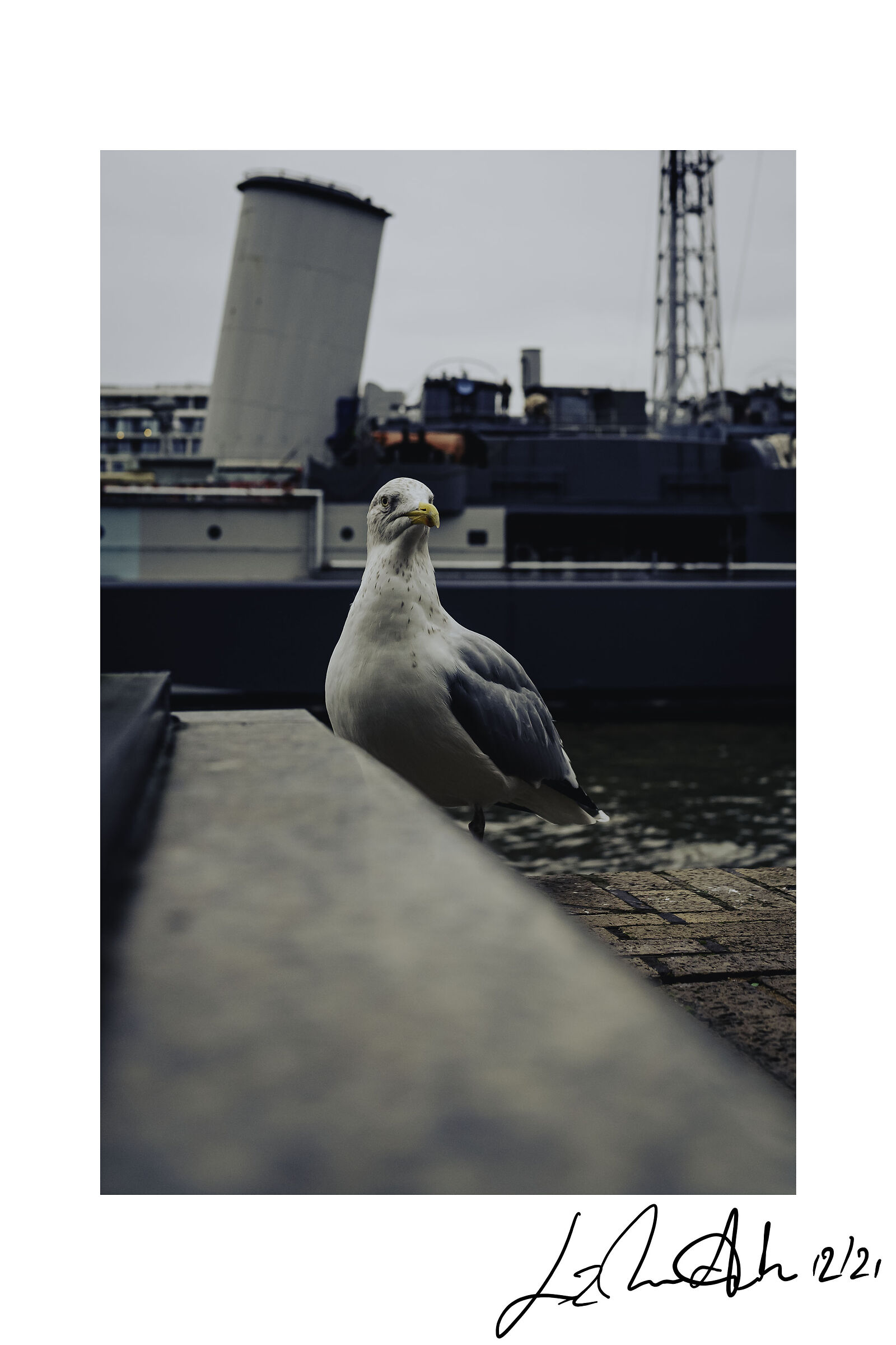 Il padrone del Tamigi