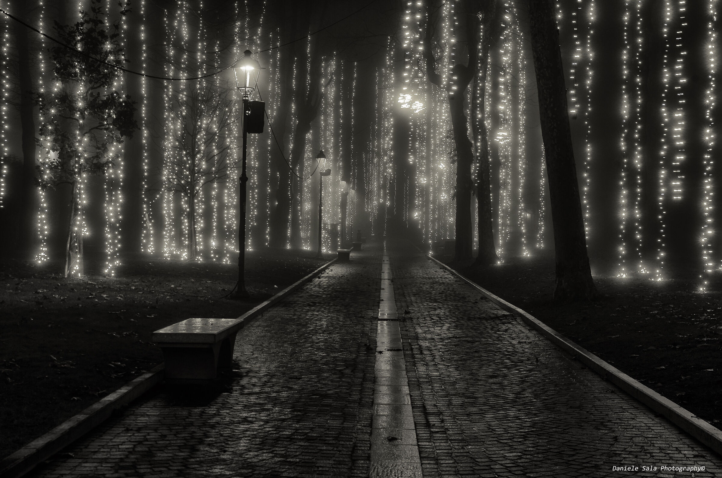 Monochrome Christmas.