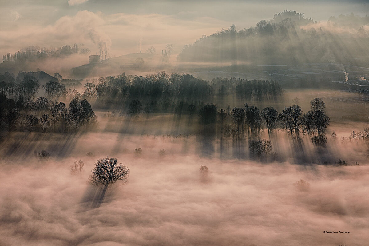 L'alba di un nuovo giorno.