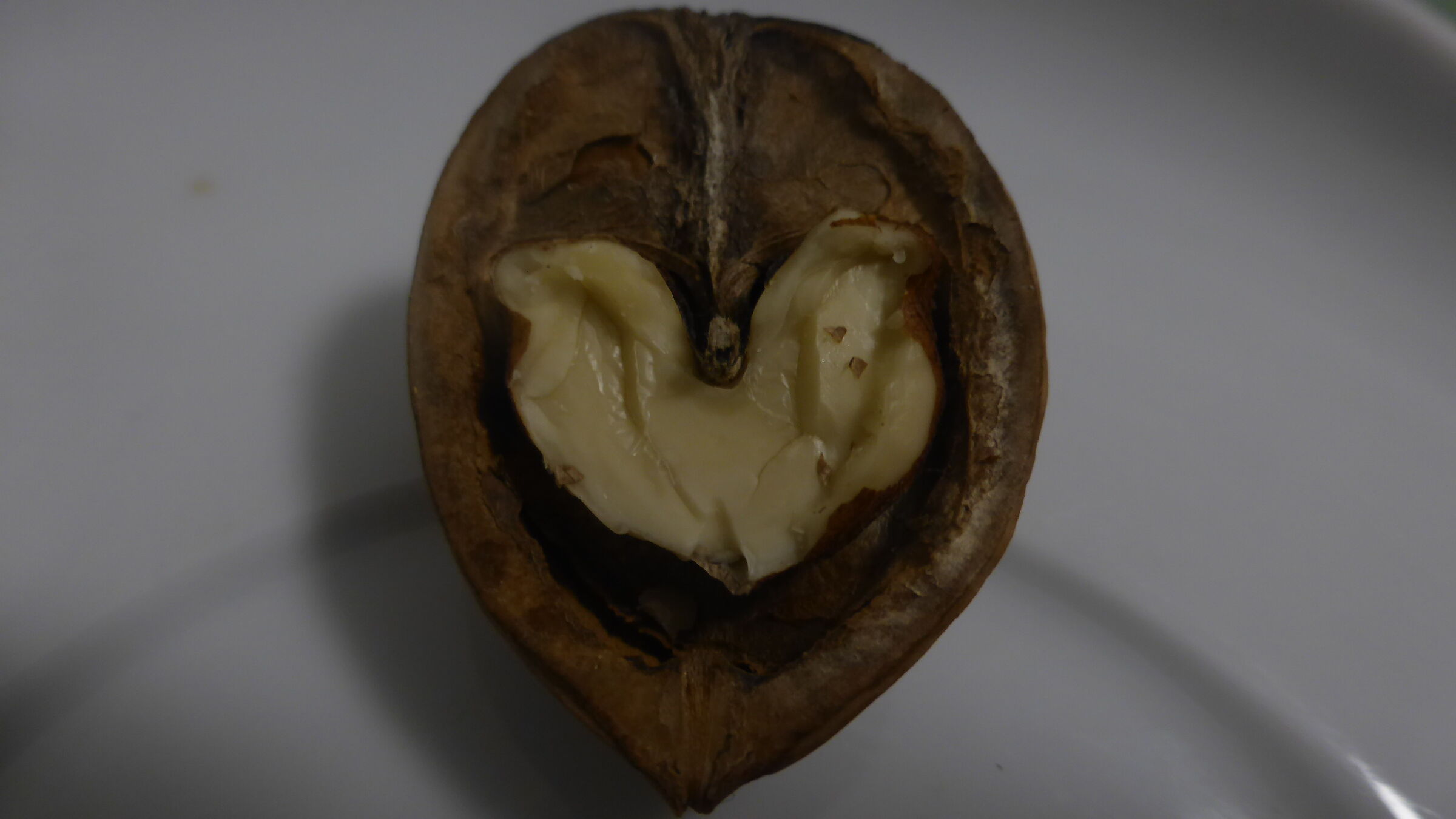 nut
