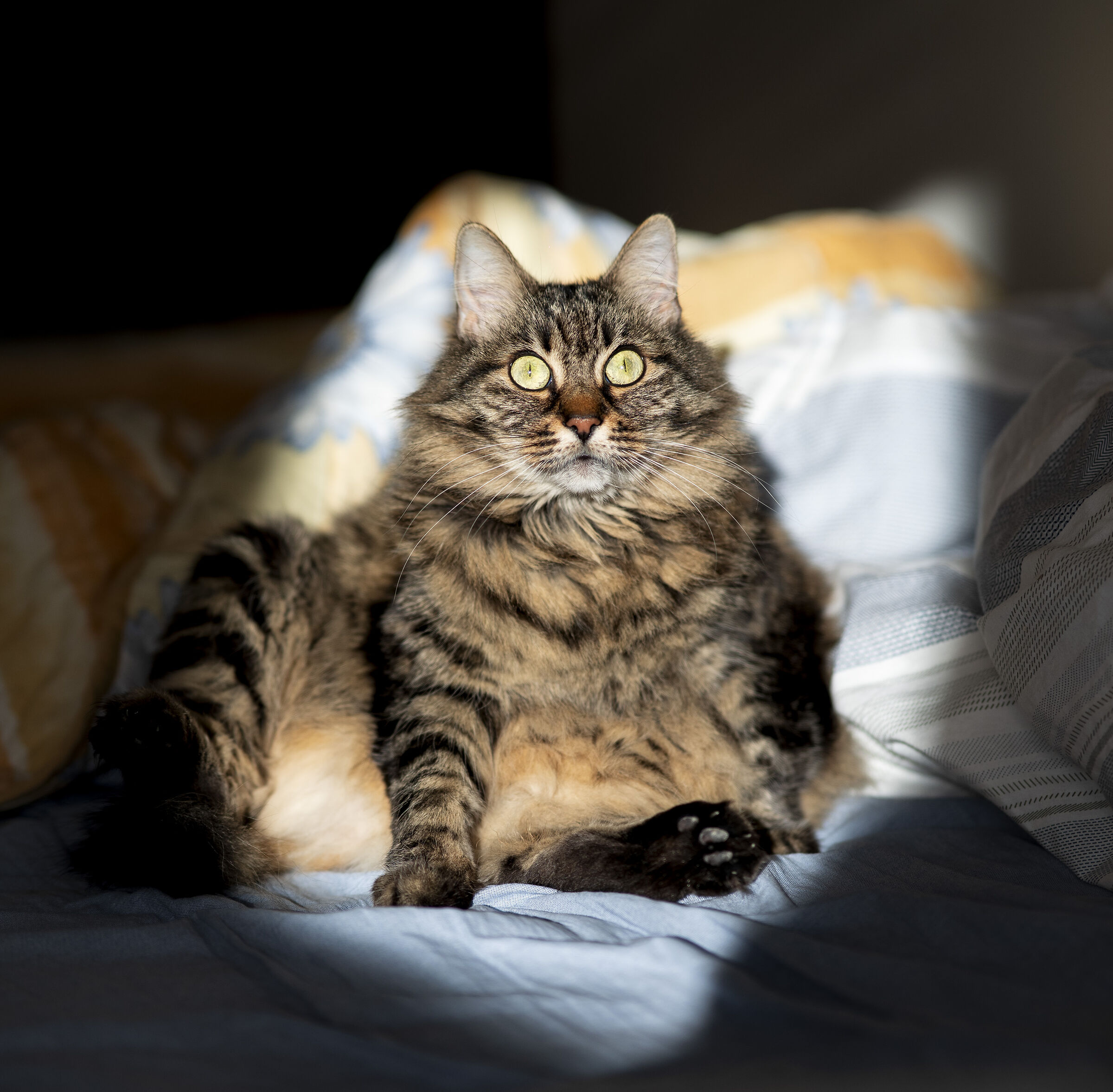 Sometimes they see the Madonna