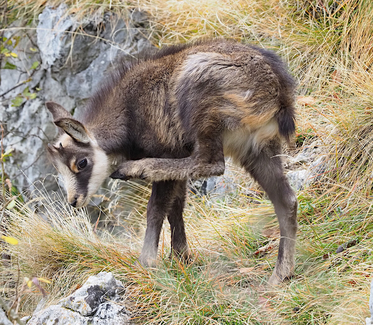 Ahh.. what an itch!!