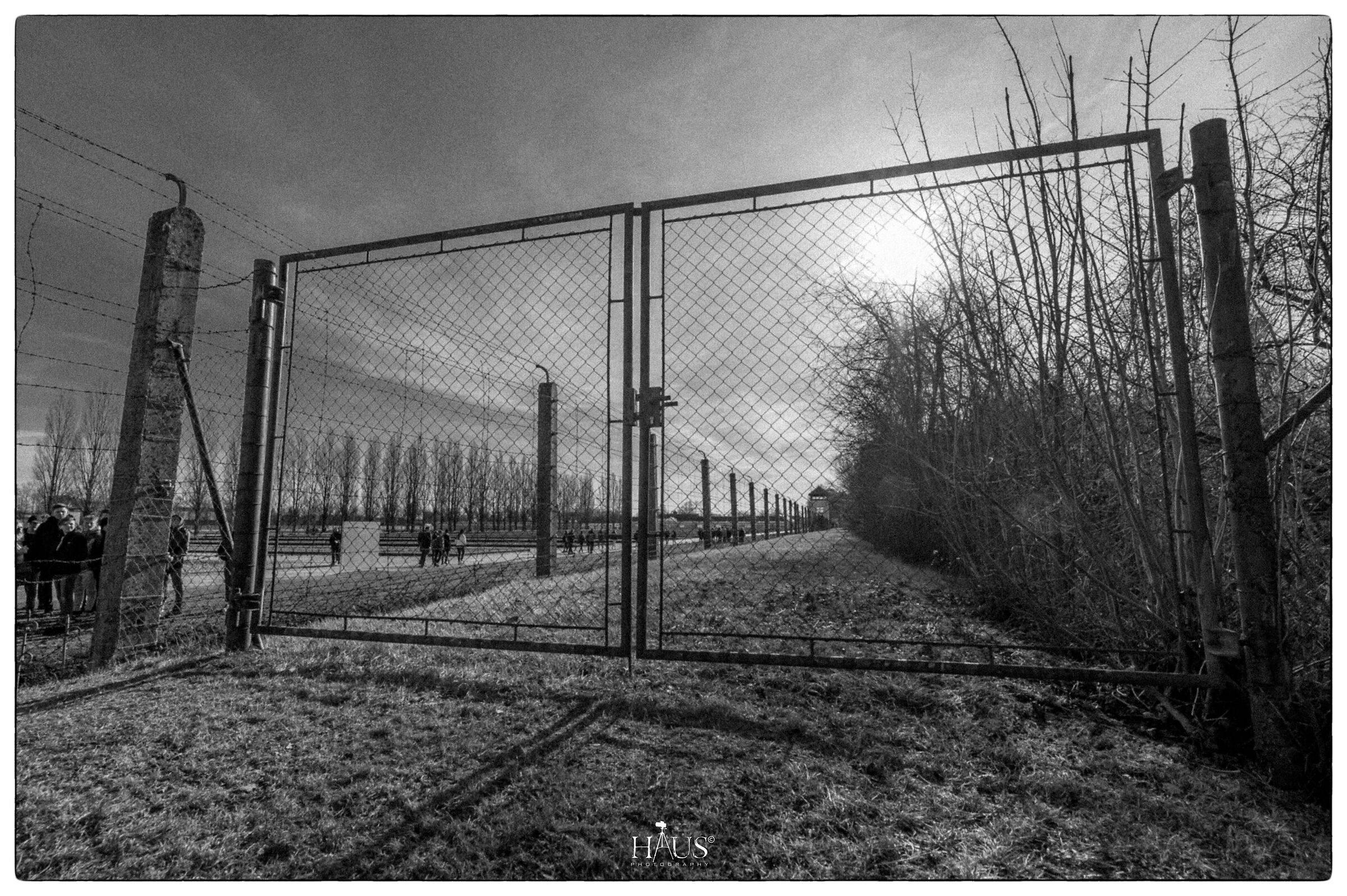 Dachau and Return...