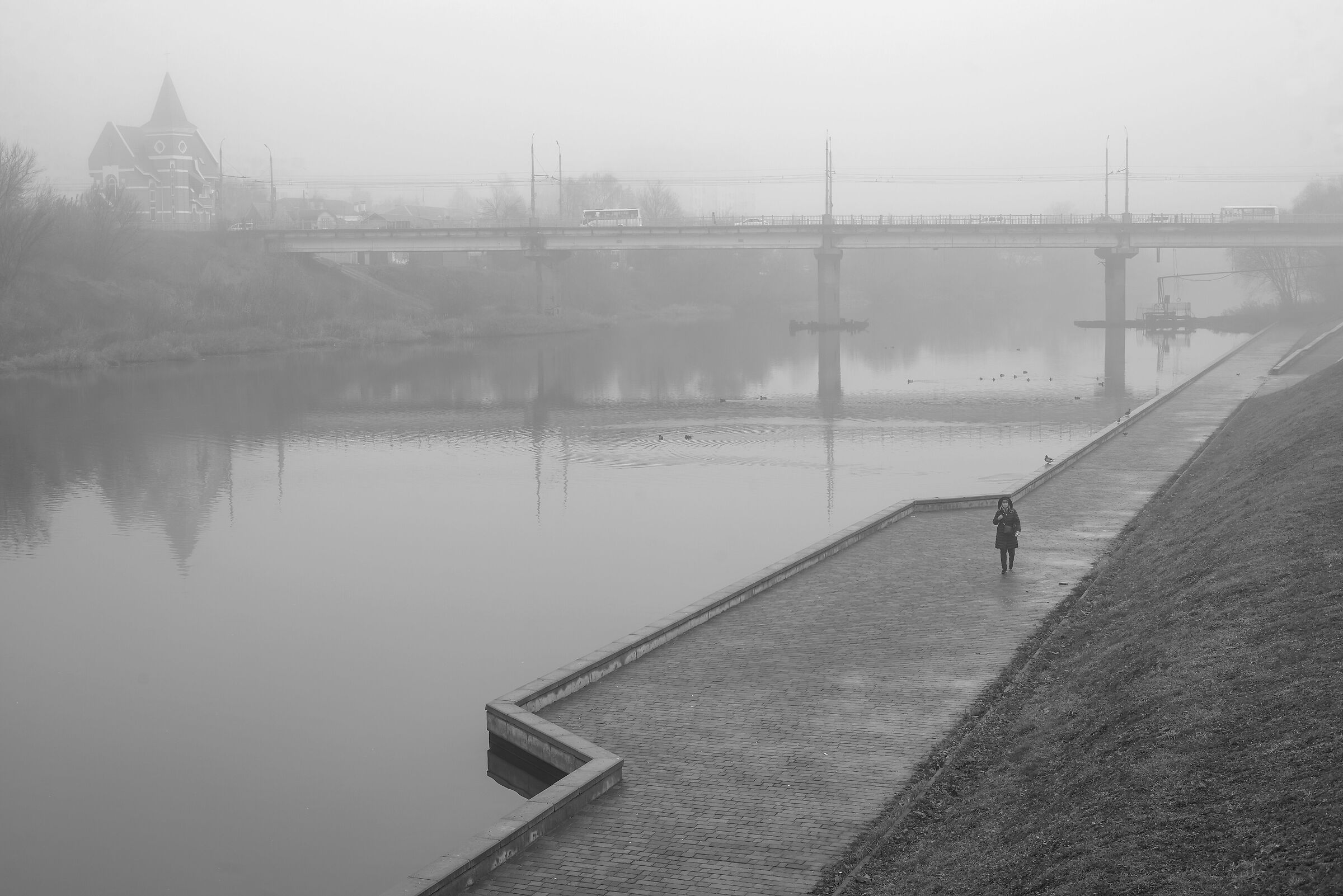 Mattina nebbiosa...**