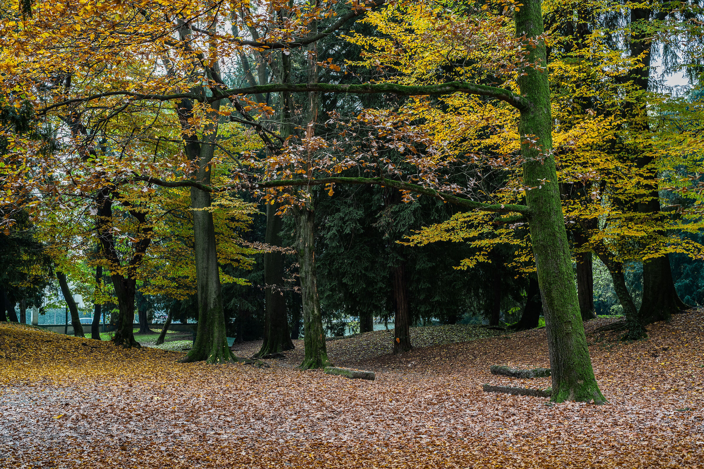 Desio, parco Tittoni