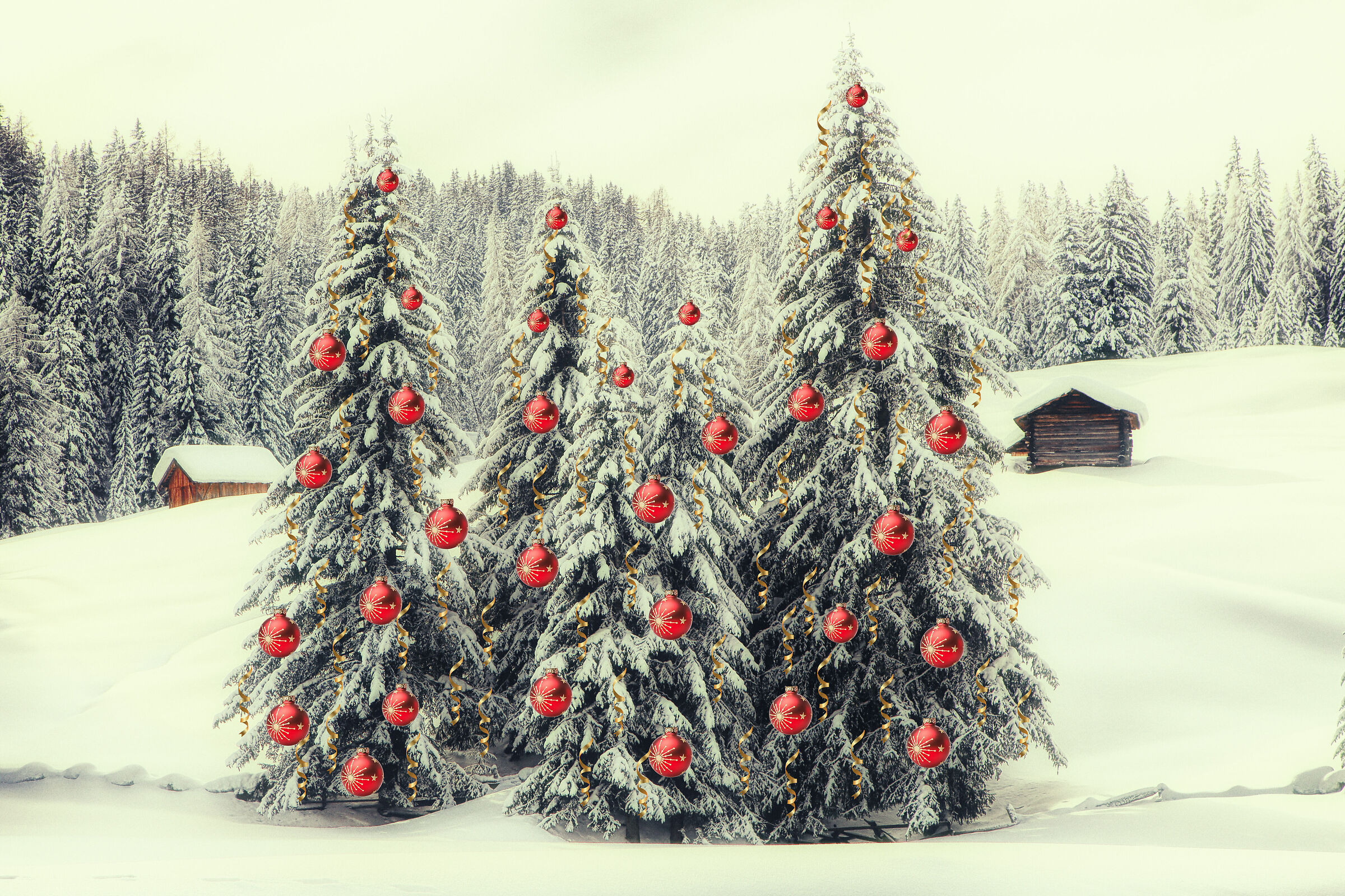 Merry Christmas friends Juza