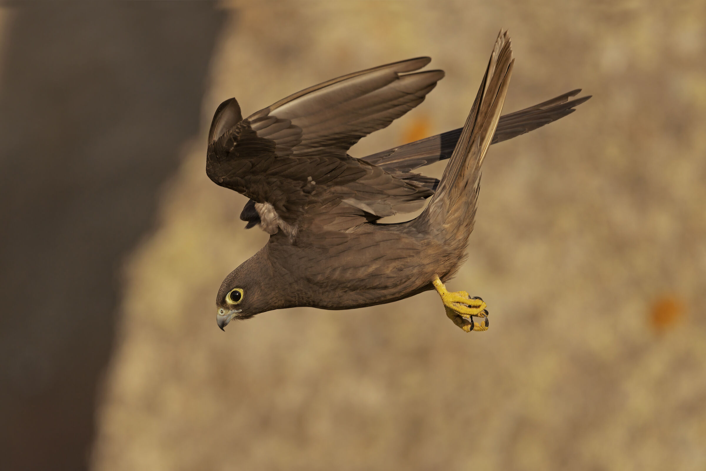 Veleggiando tra le scogliere di San Pietro