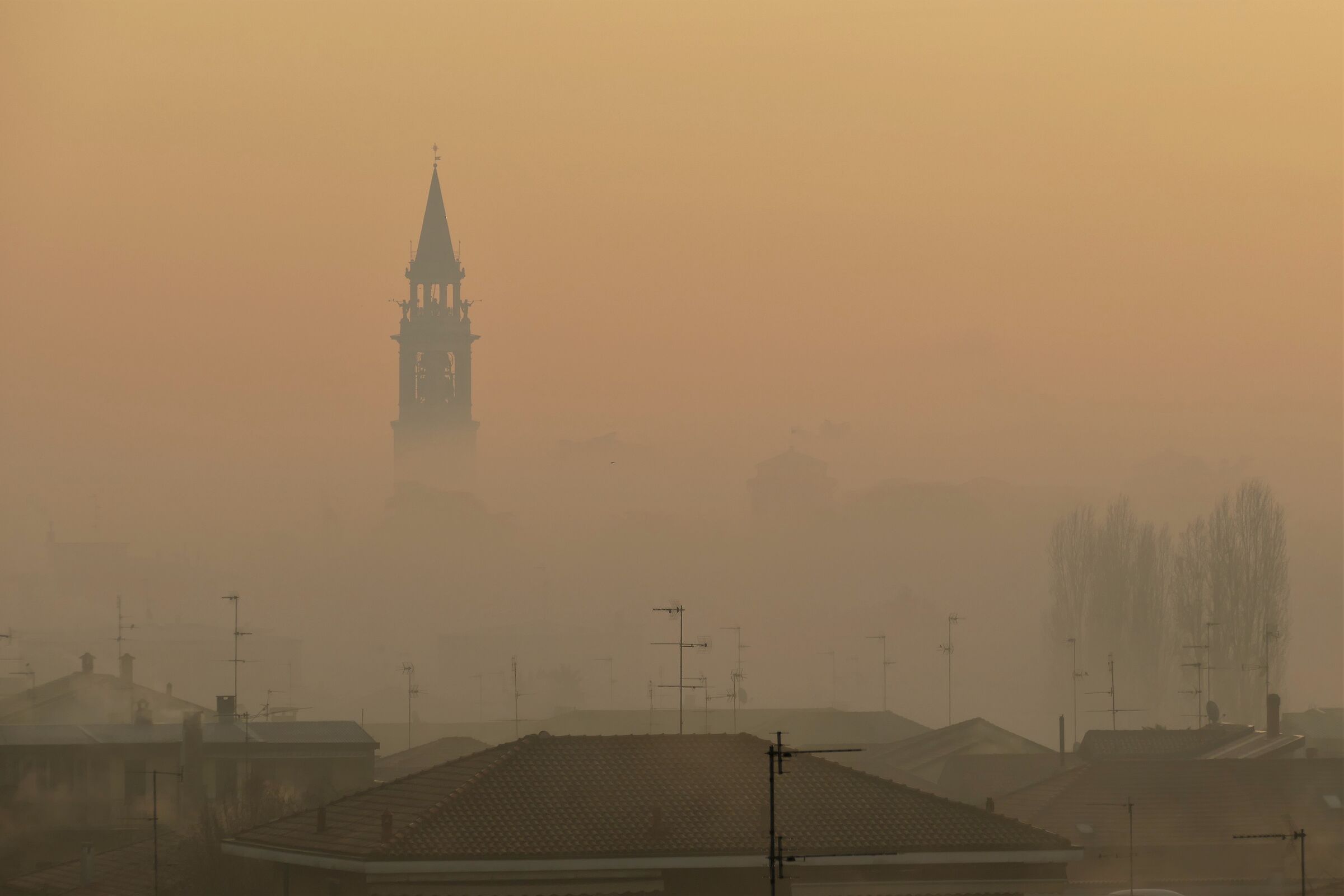 apparizioni matuttine