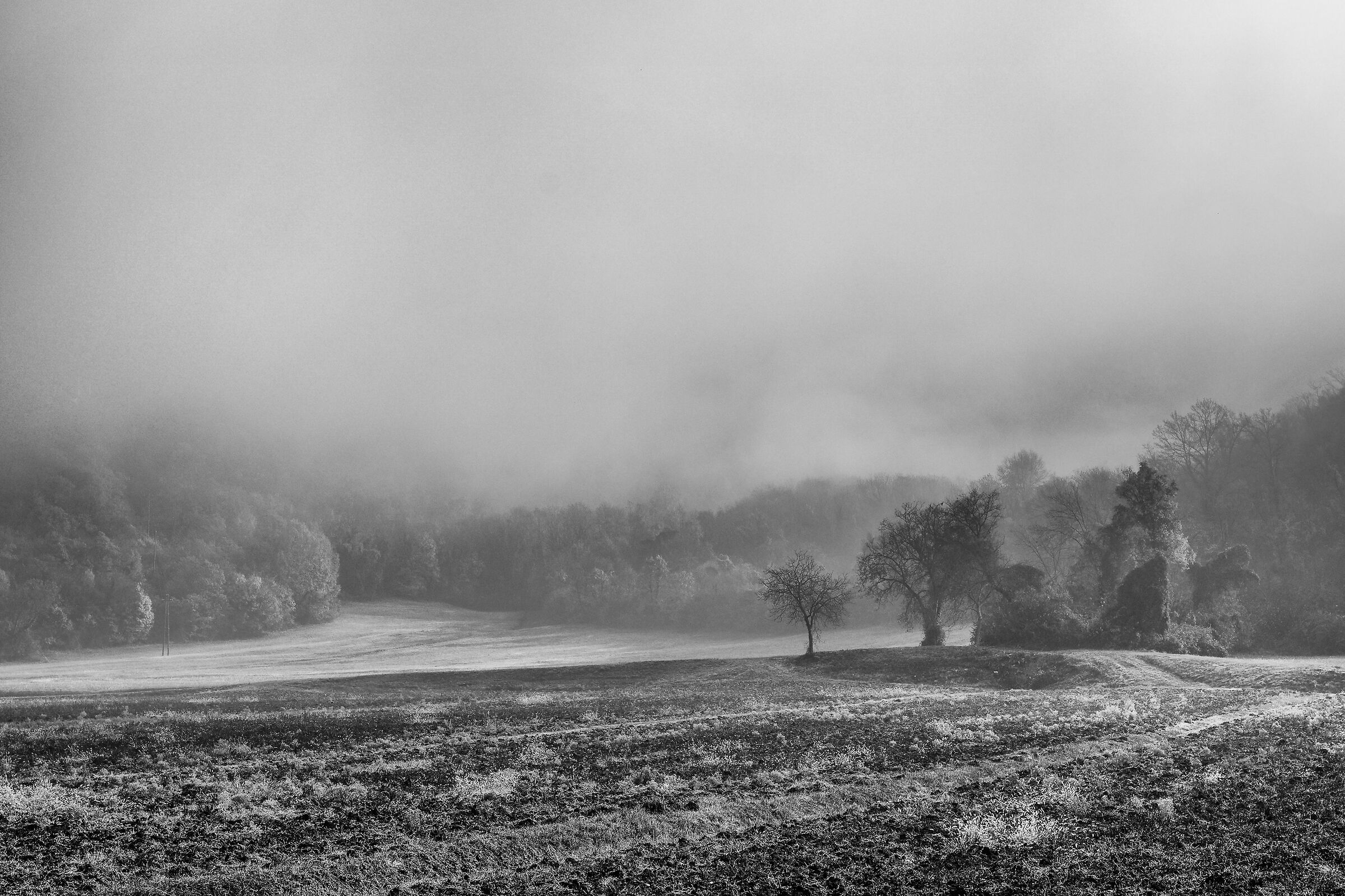 In the mists the valley