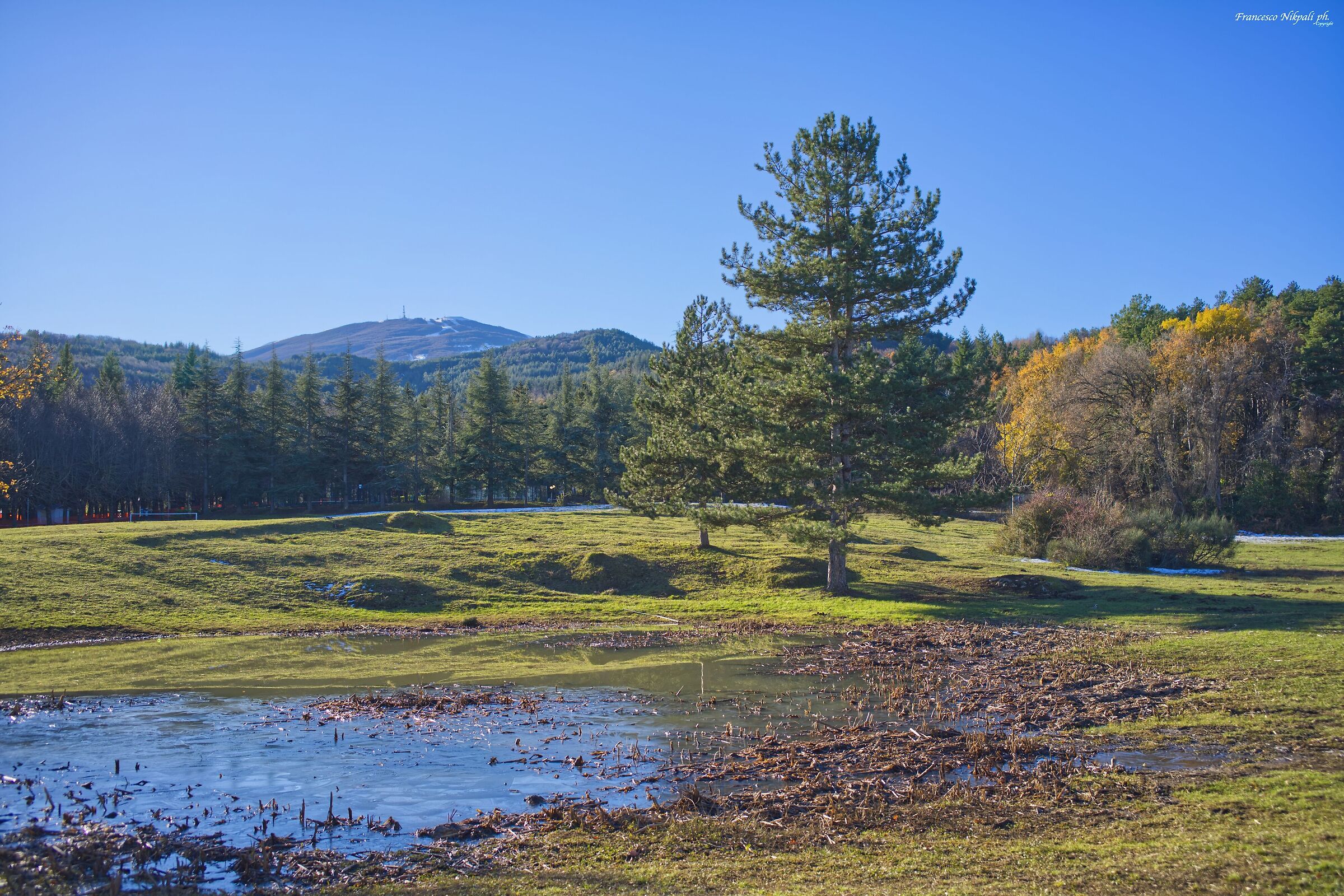 Pianoro S. Marco (AP) - Italy