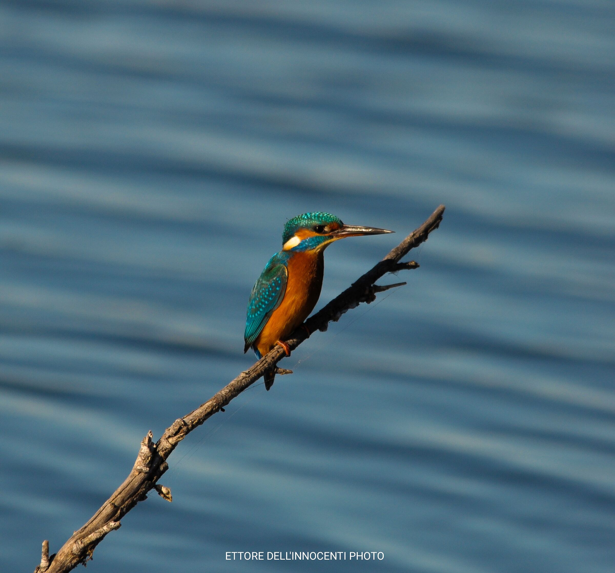 | A quick stop to leave again |