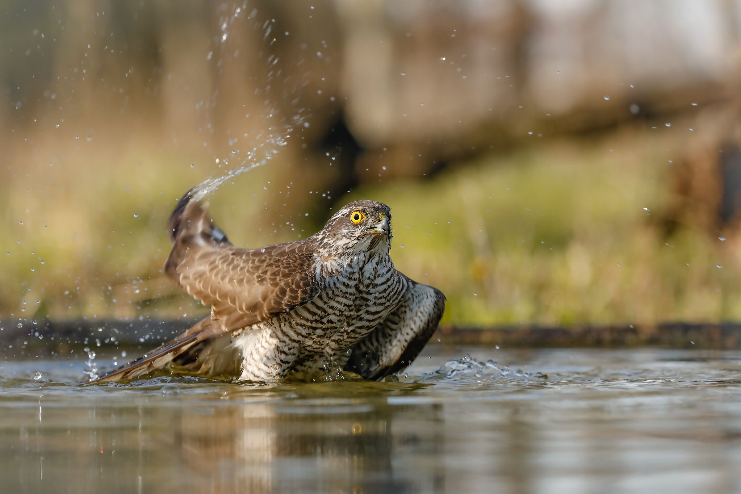 La nostra natura consiste nel movimento ...