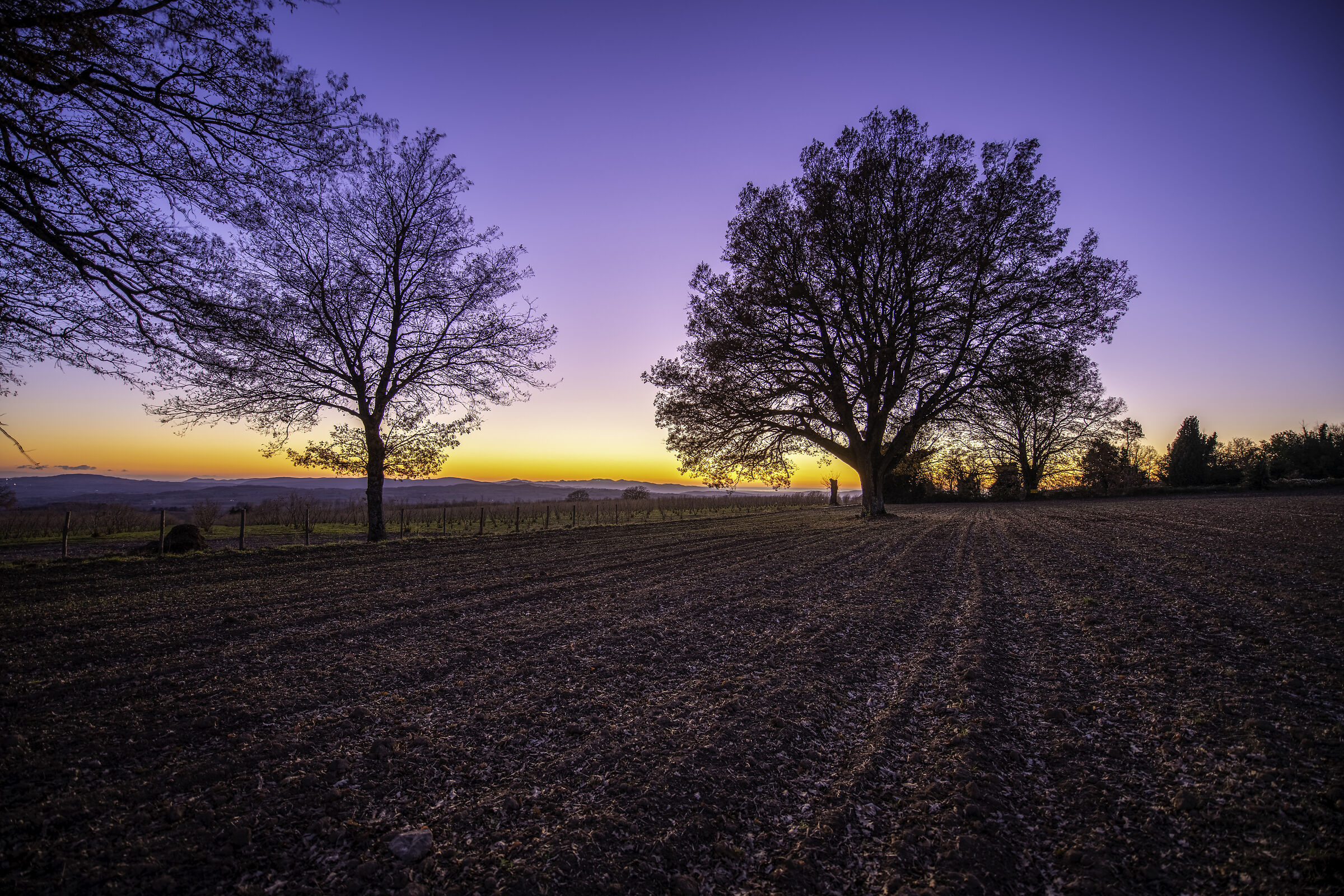località Albero Tonno