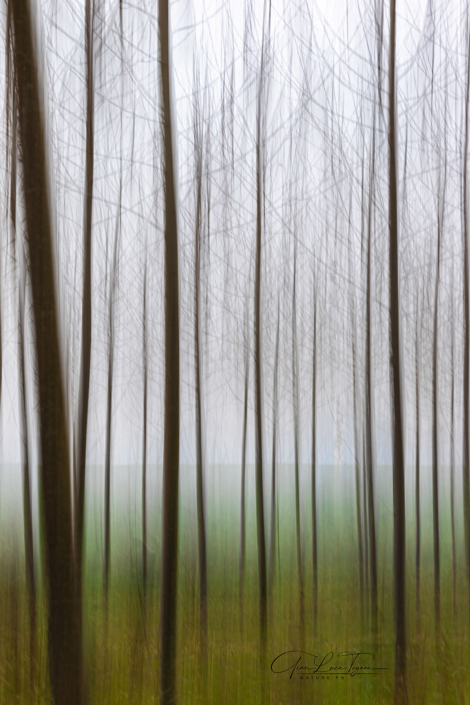 tra ostacoli e incertezze