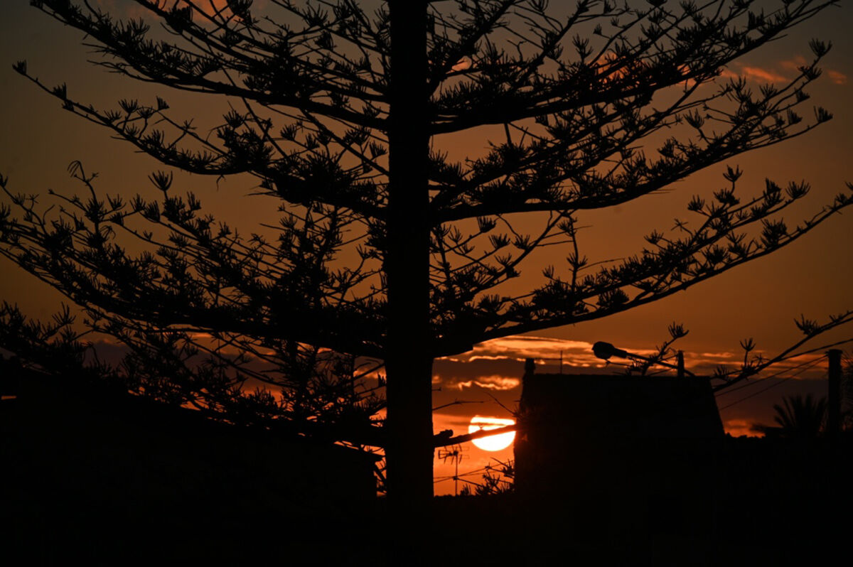 And also for today I finished heating Marina