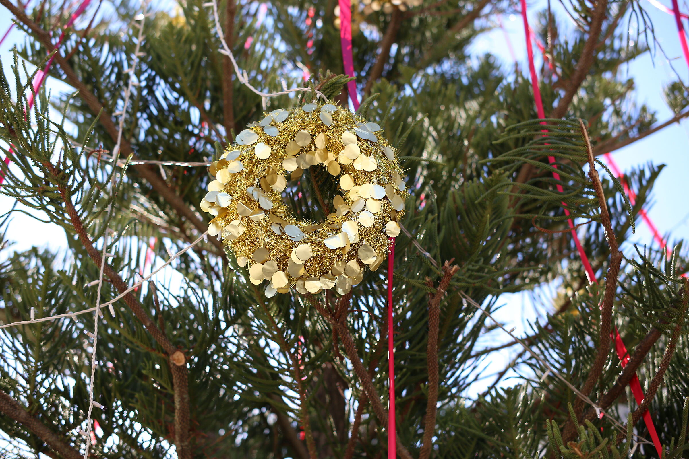 Buon Natele e Felice Anno nuovo