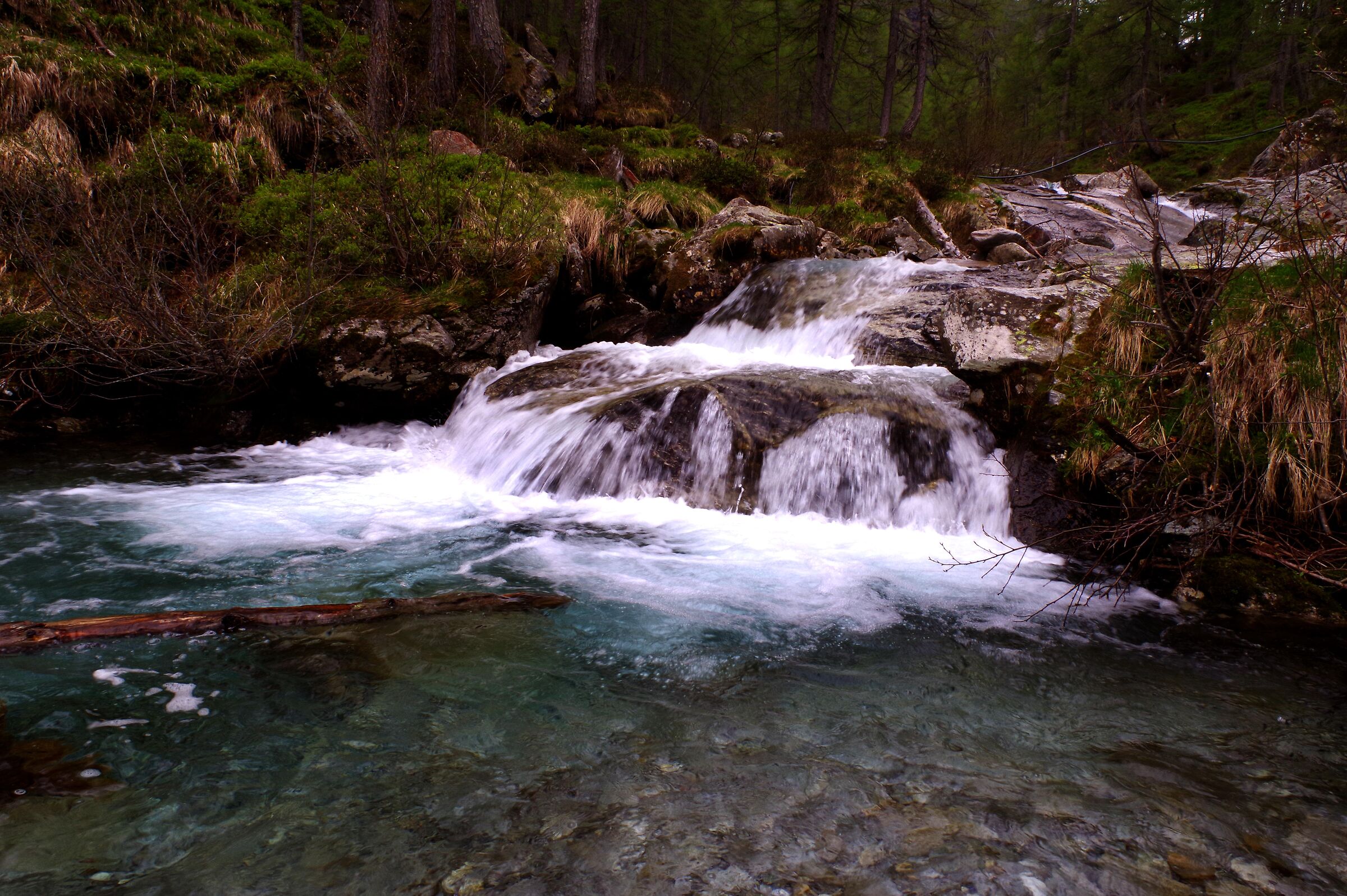 Alpe Lendine