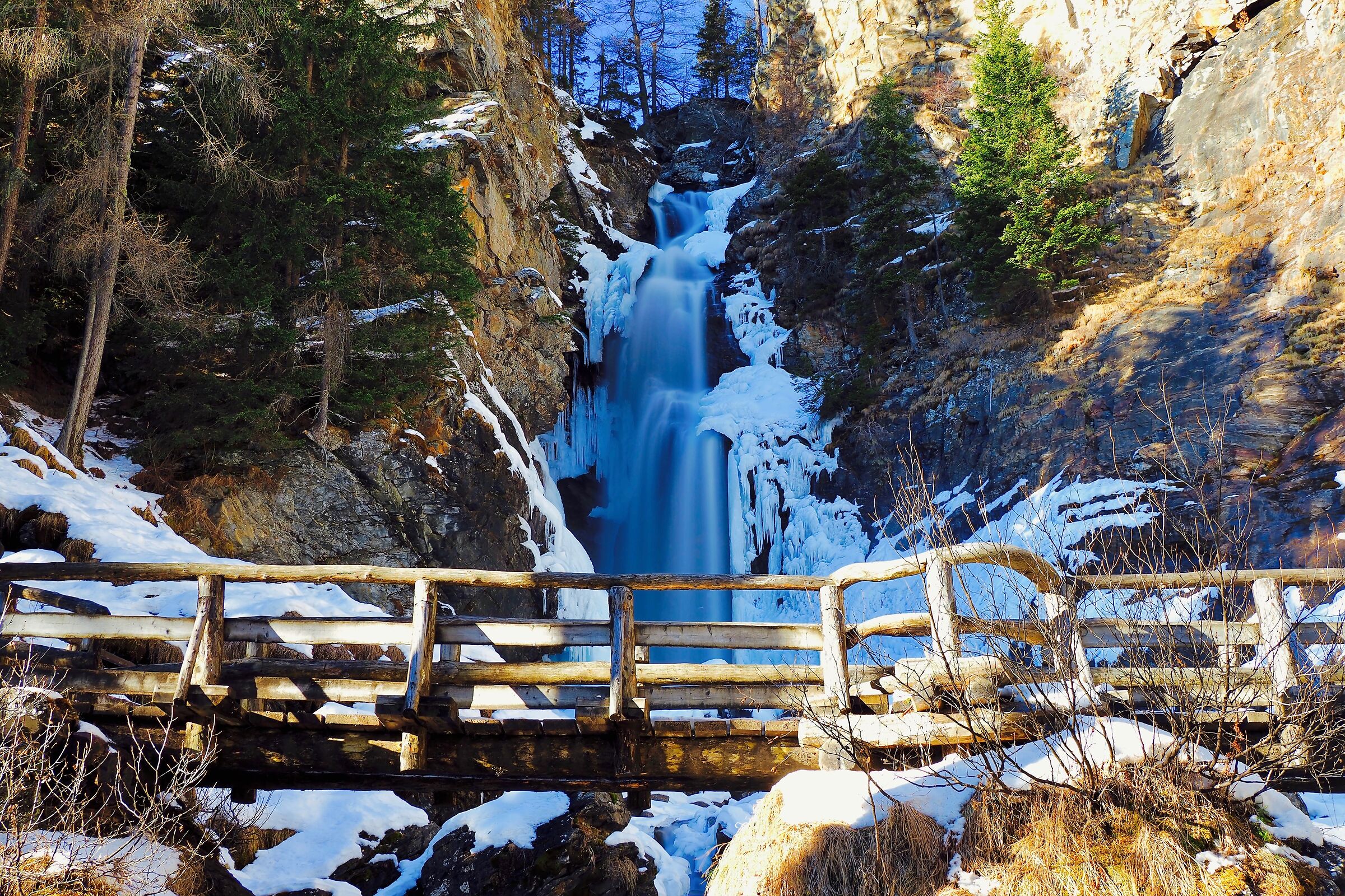 Una giornata tra amici