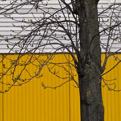 auguri.....Francesco