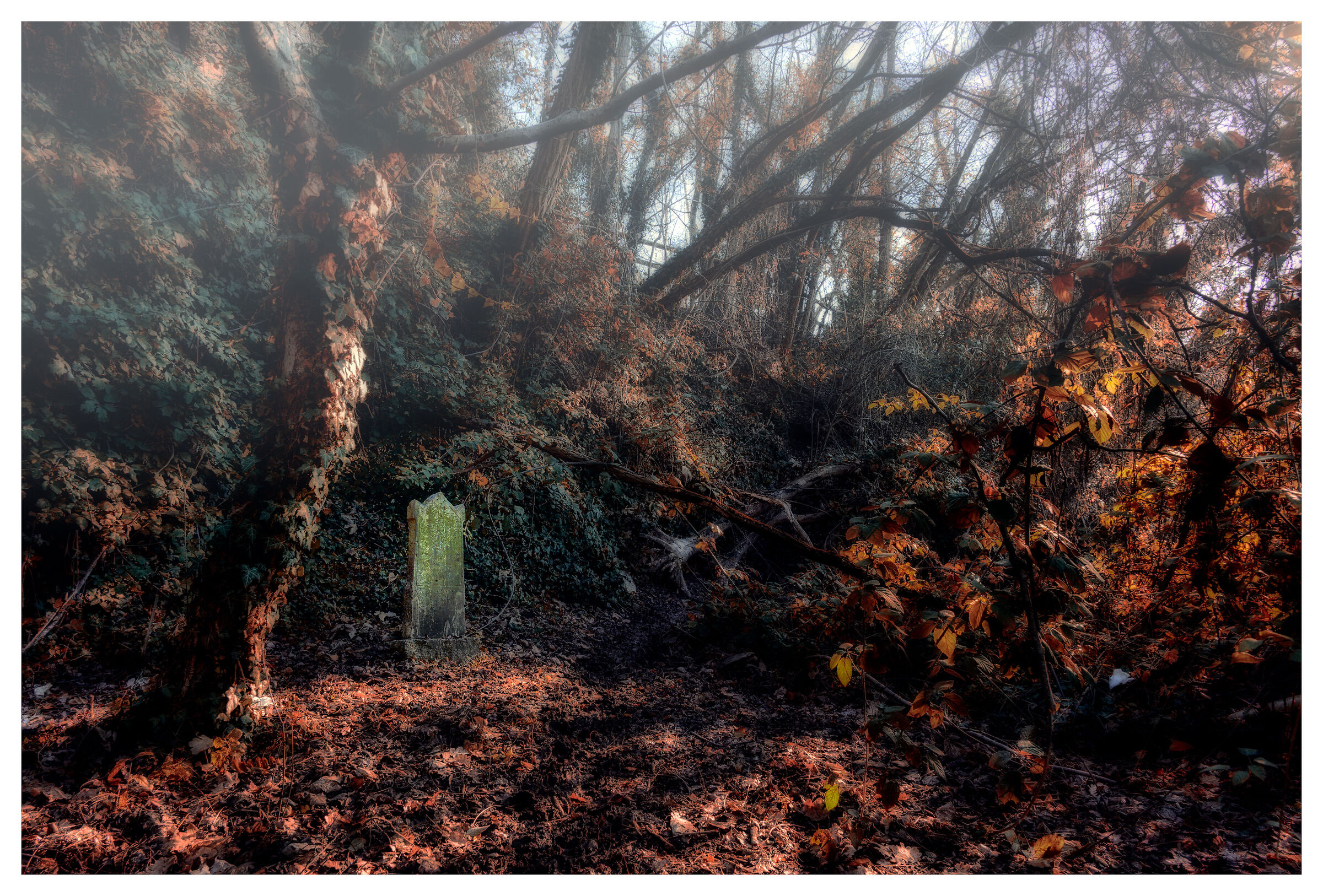 Tragedie dimenticate nei boschi