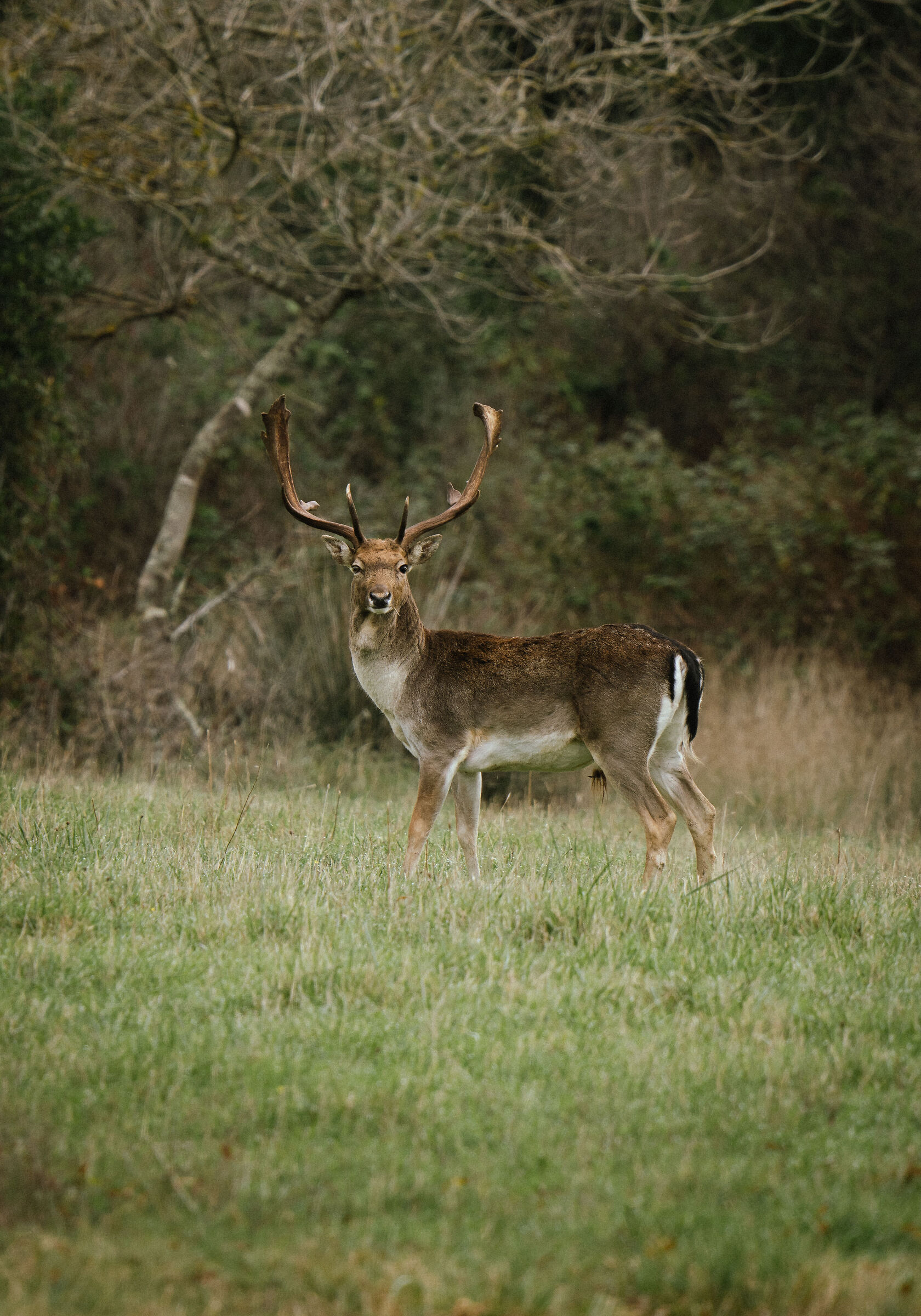 Caught red-handed...