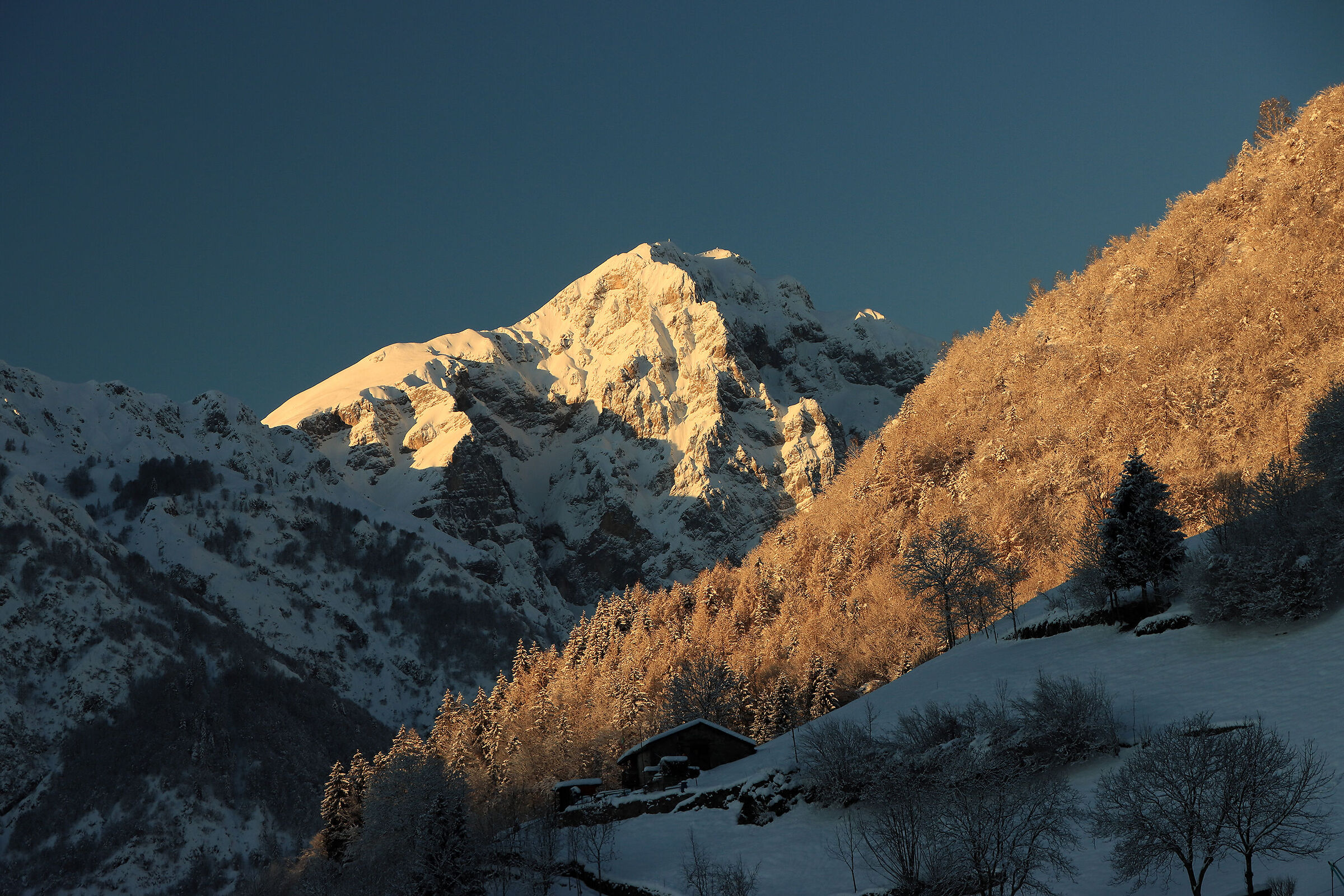 a hut in the snow