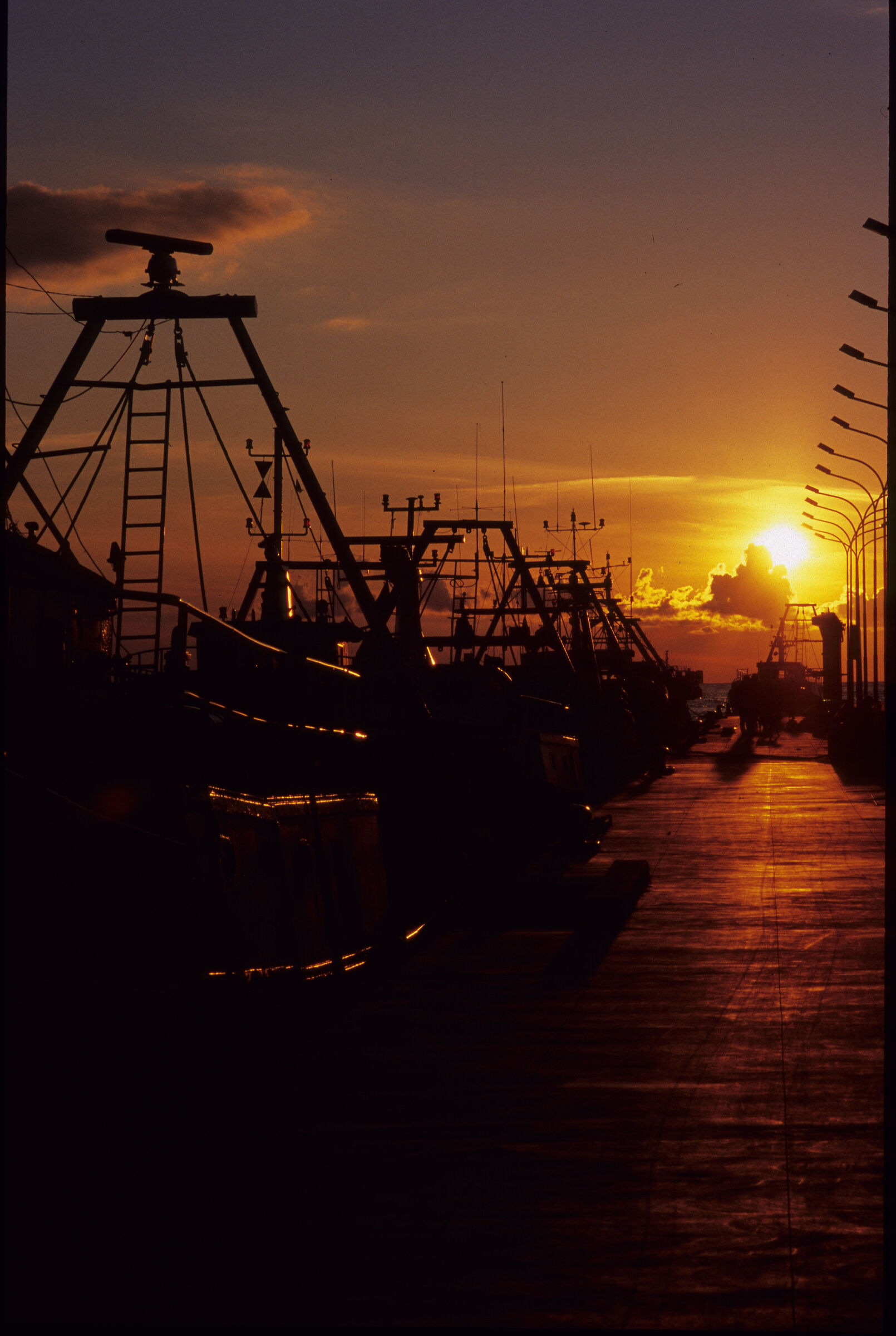 Fiumicino2008