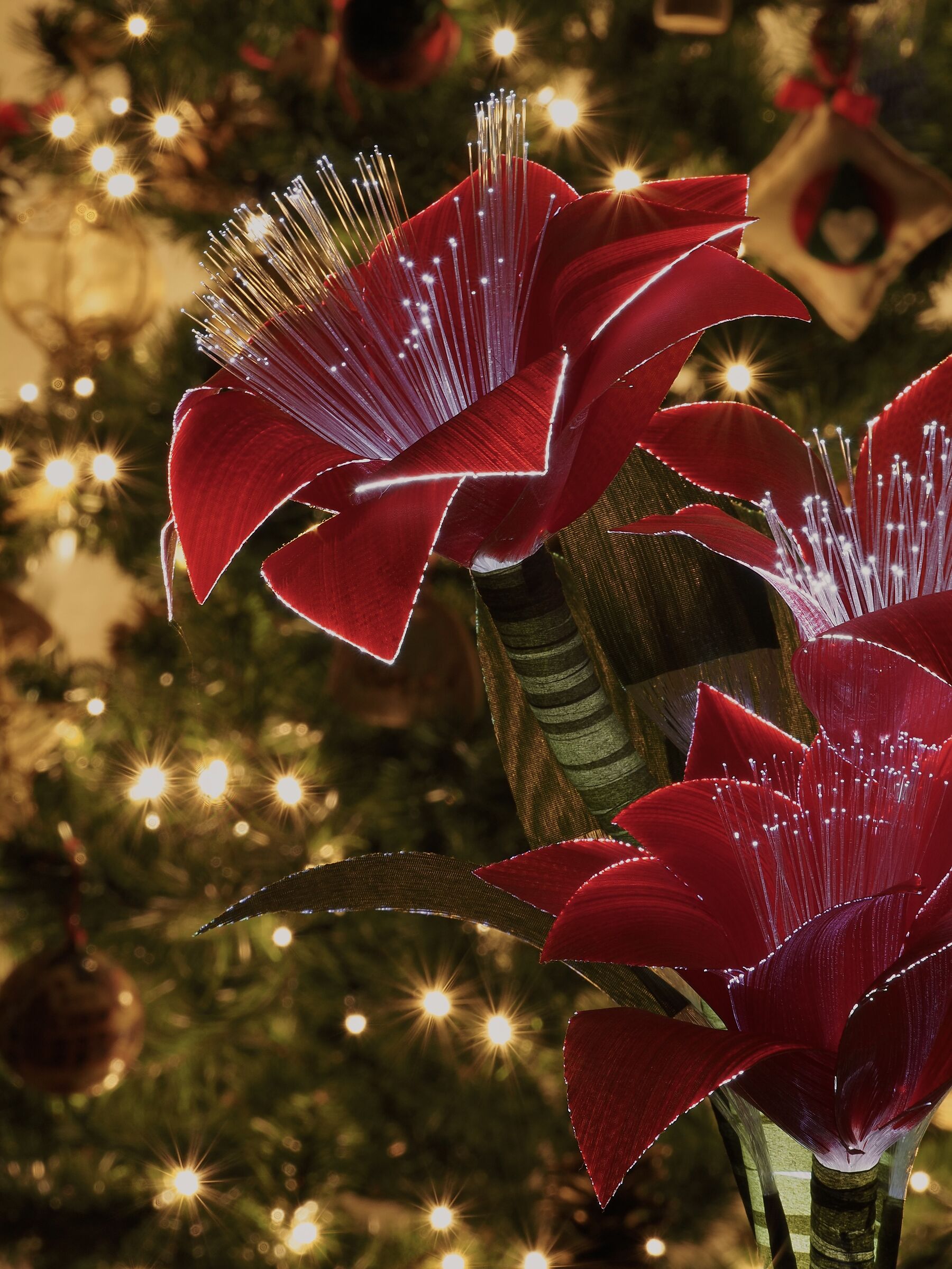 Buon Natale a tutti!