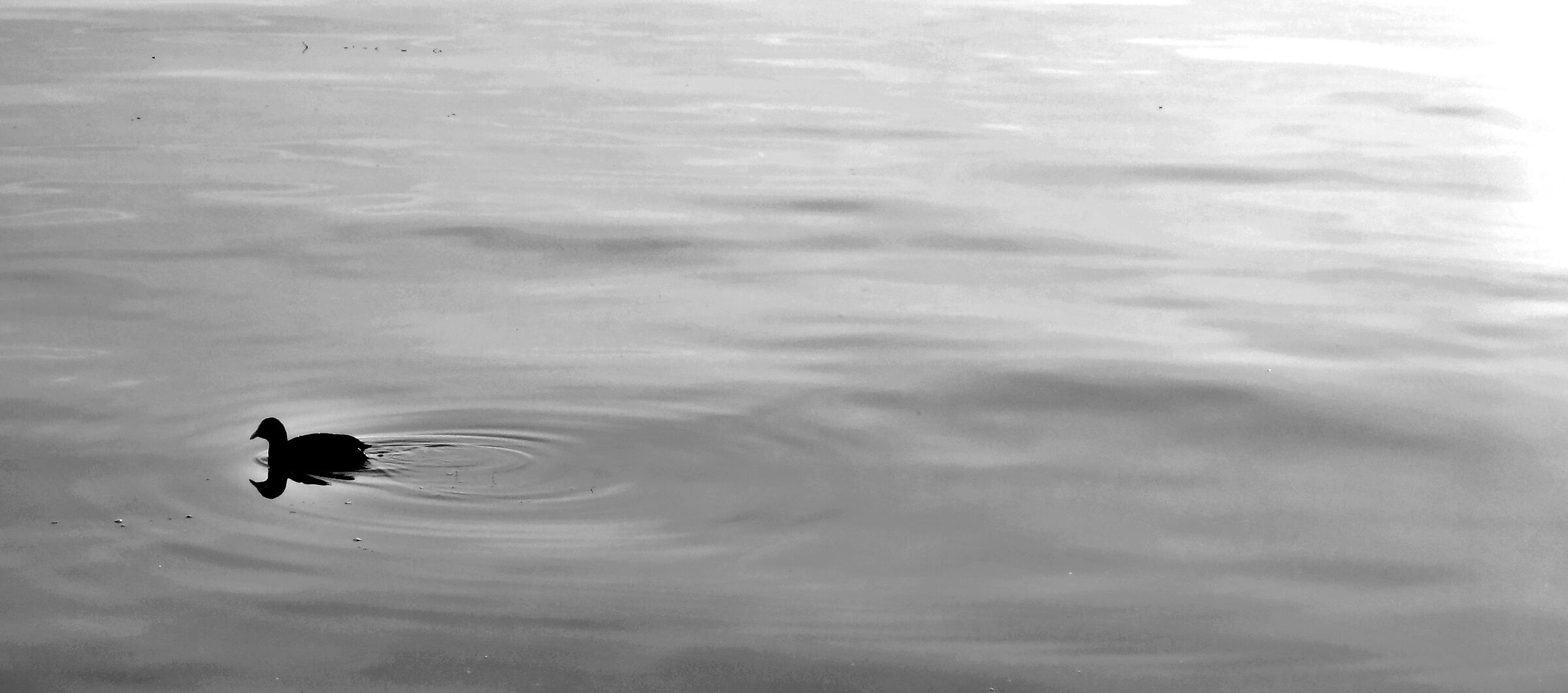 Sul lago di Garda in inverno