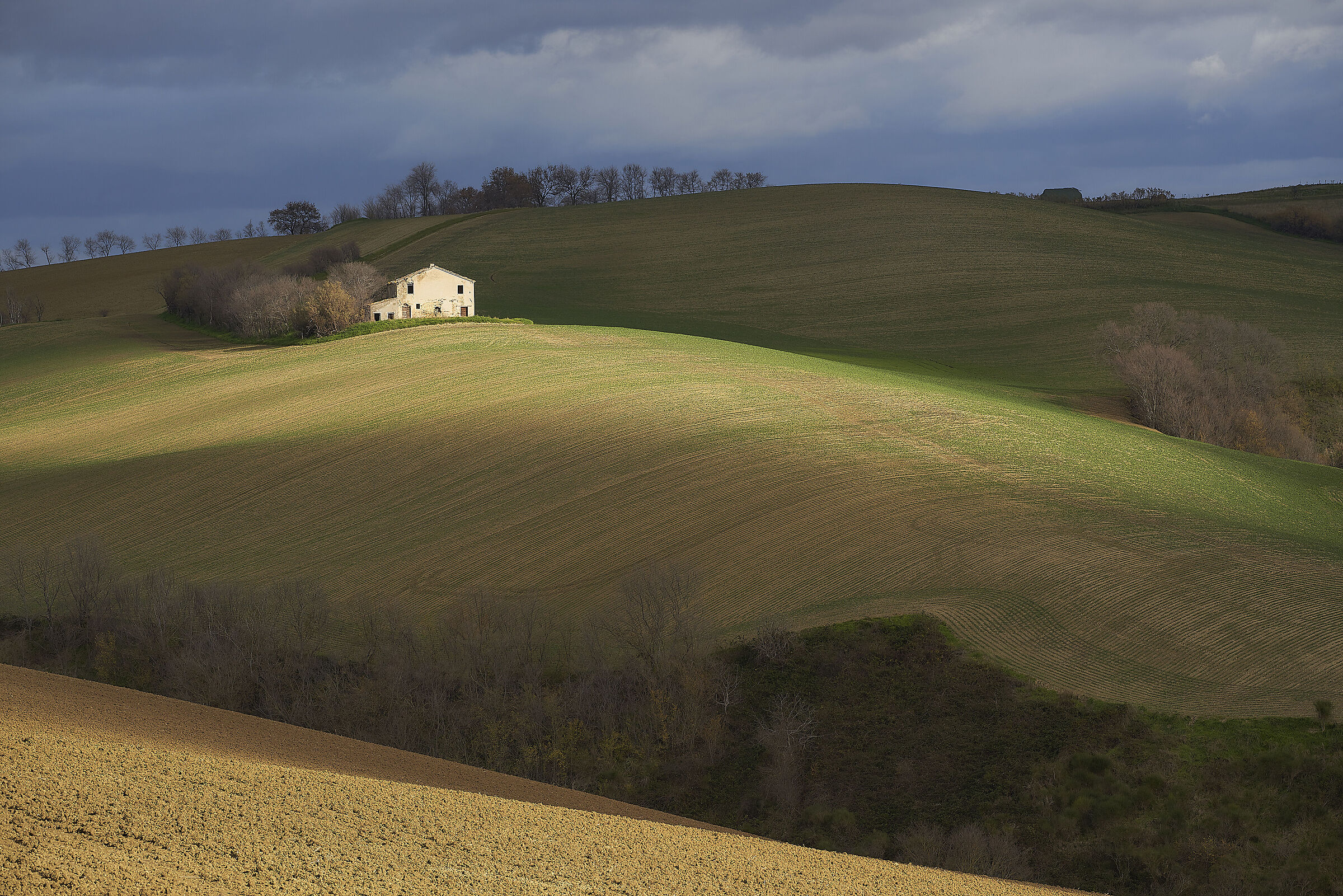 24 dicembre 2021 - Marche