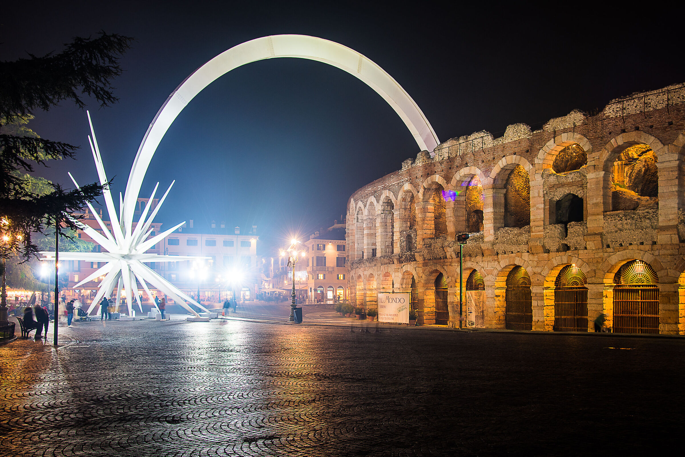 Verona Stella di Natale