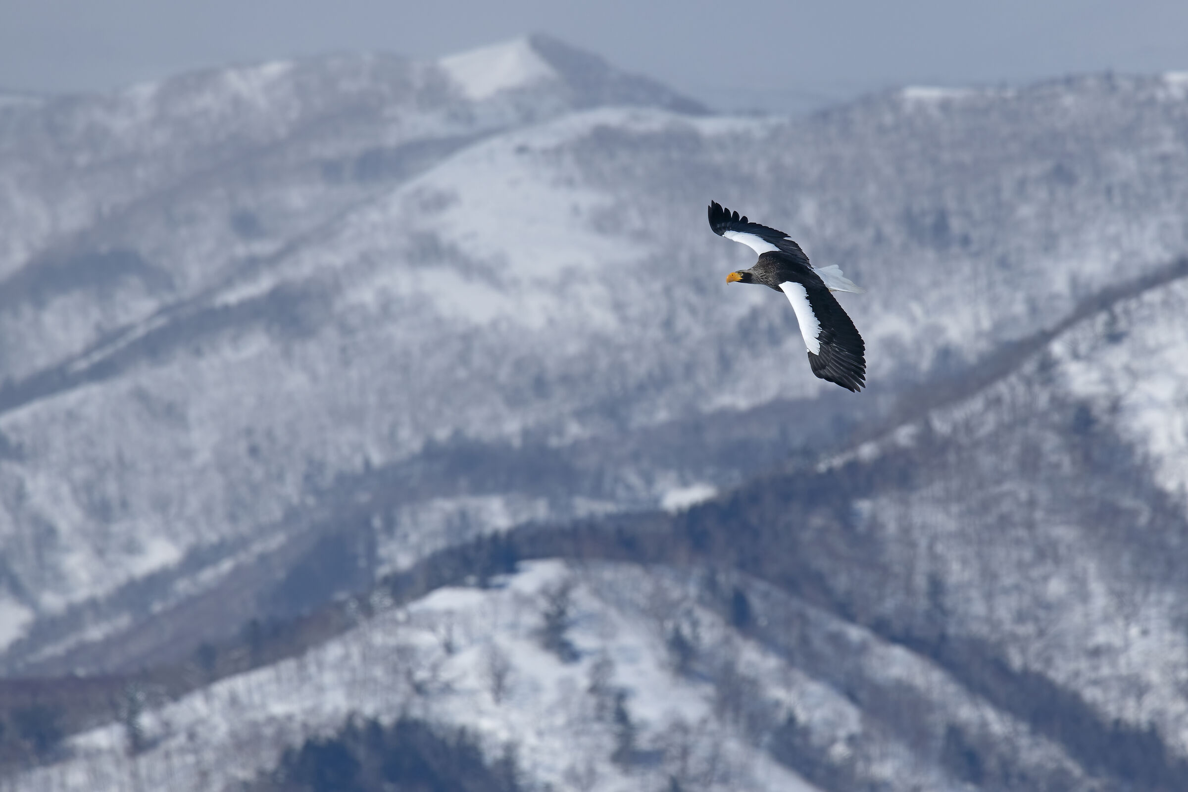 Paesaggi di Hokkaido