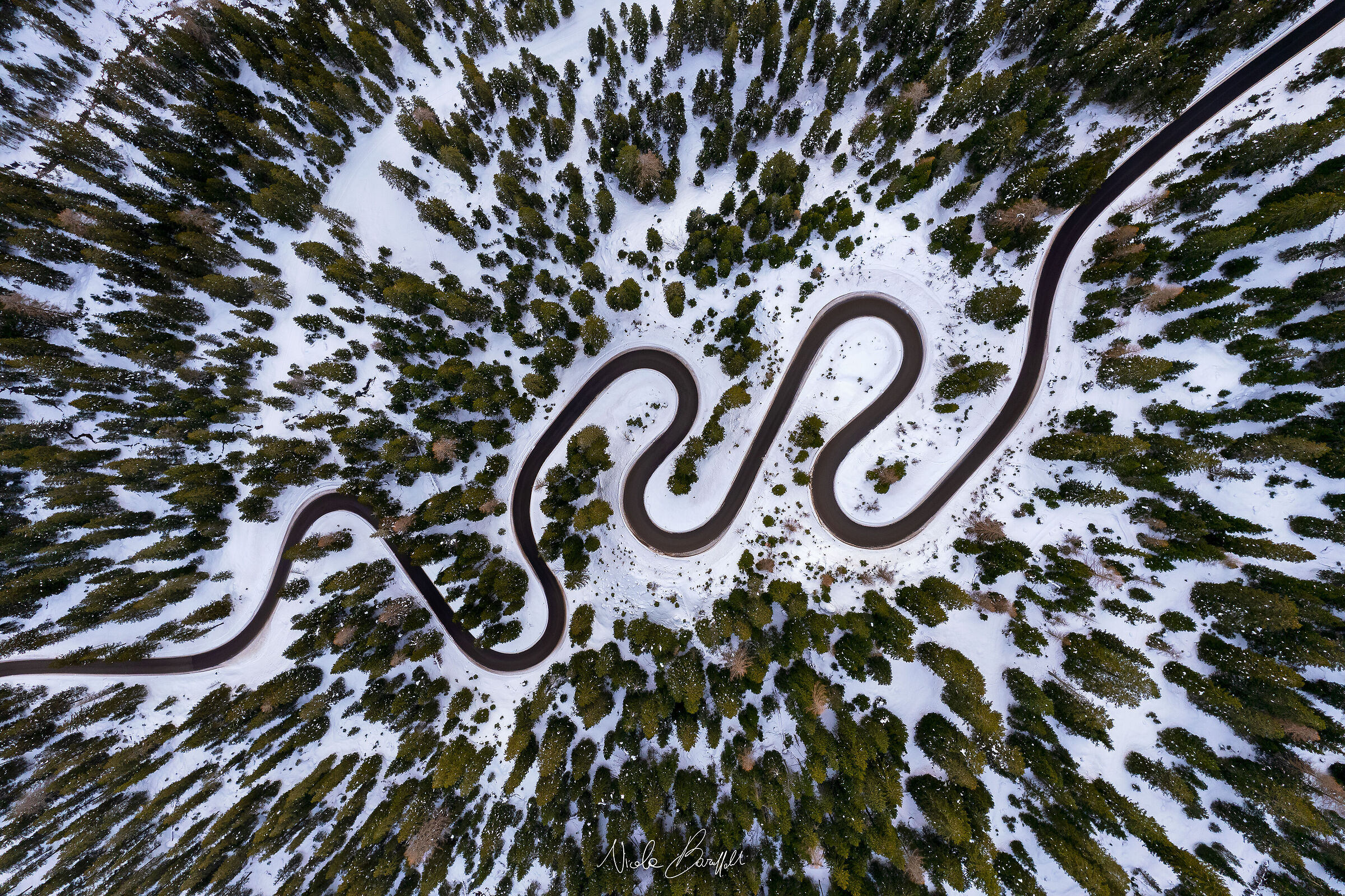 Geometrie curvilinee