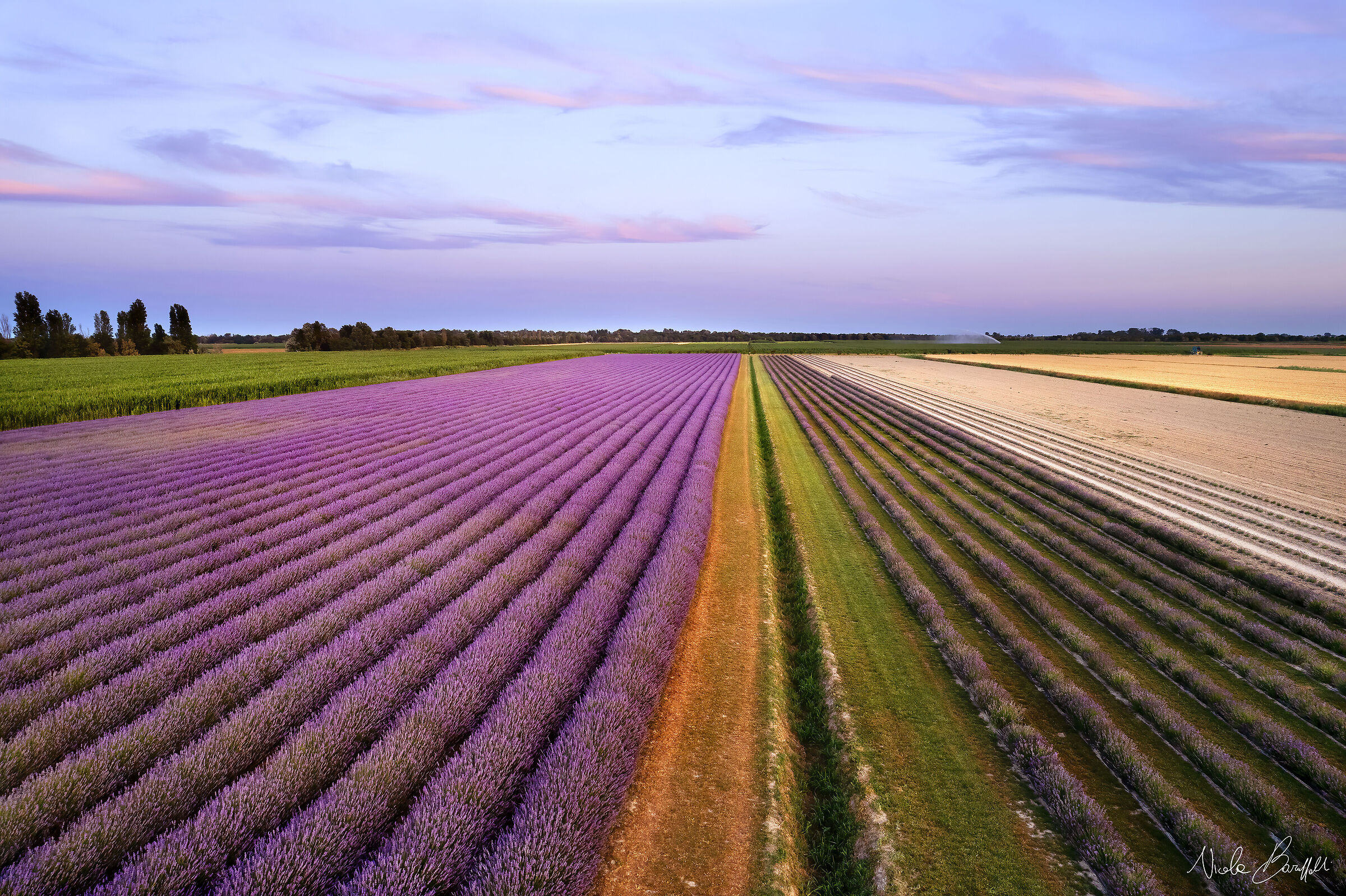 Le nuvole e la lavanda