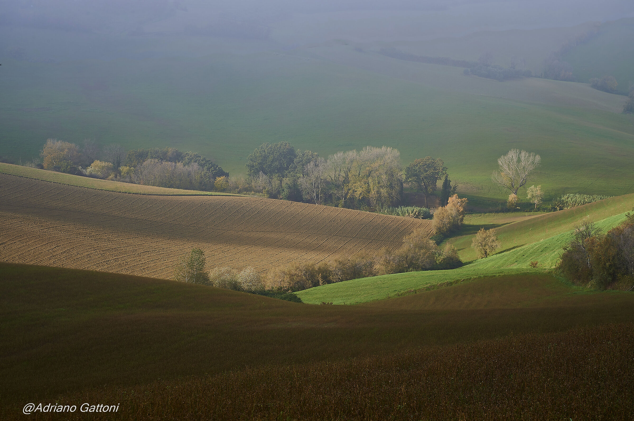 La nebbia agli irti colli ....