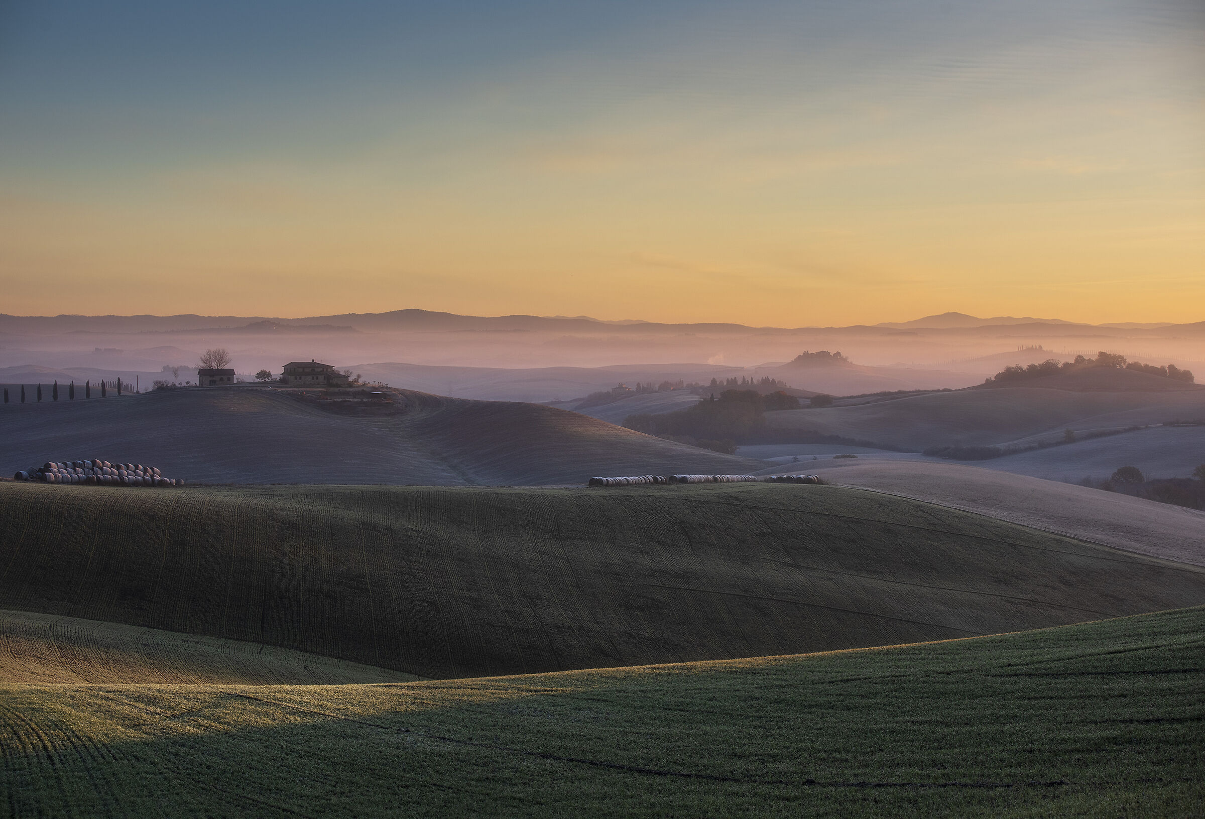 Villas of Corsano (SI)