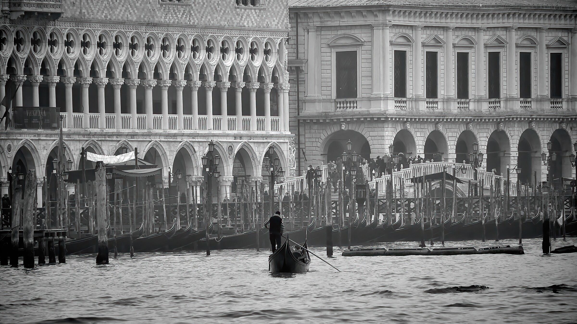 venezia da punta della dogana