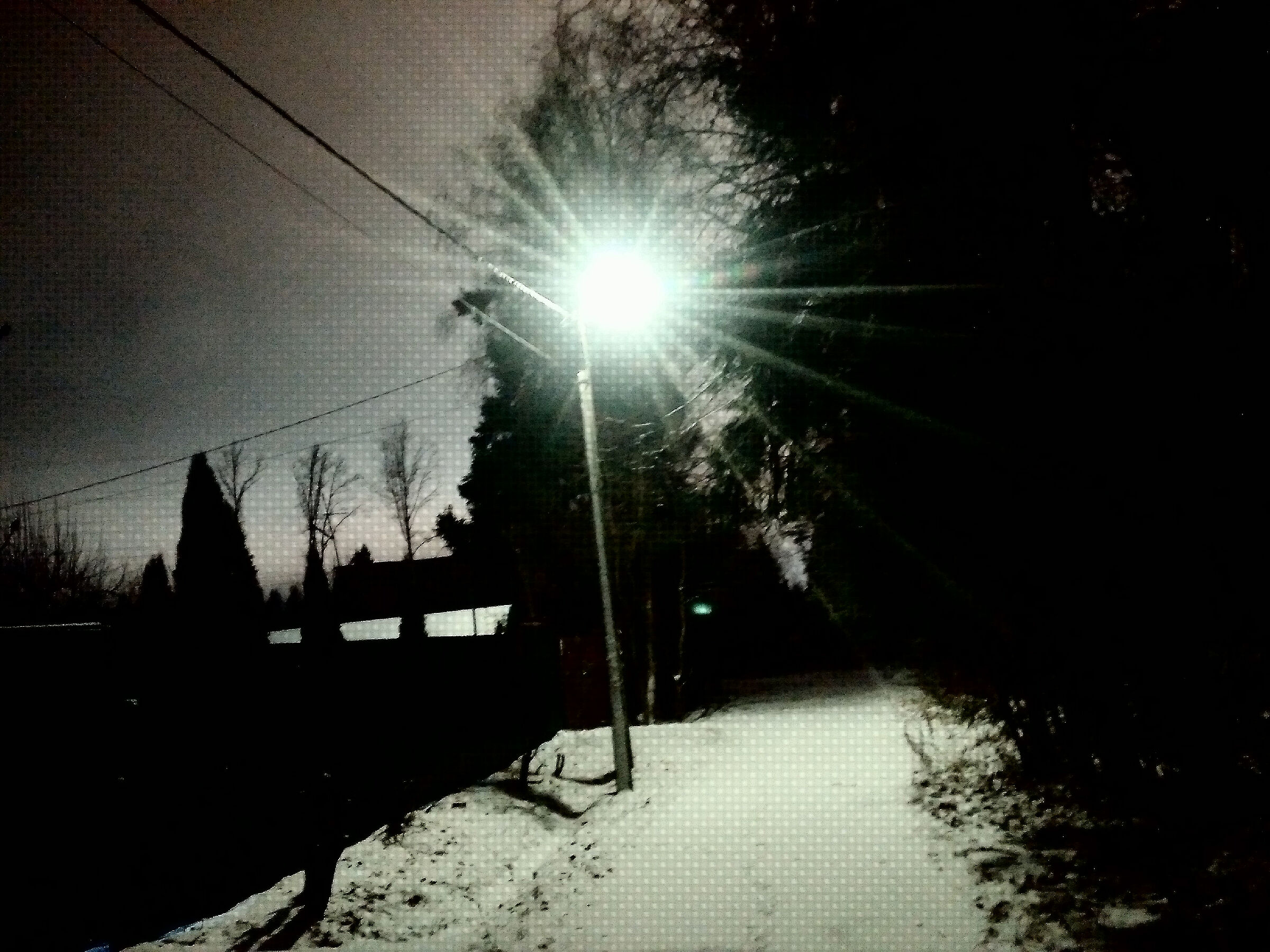 Passeggiate notturne