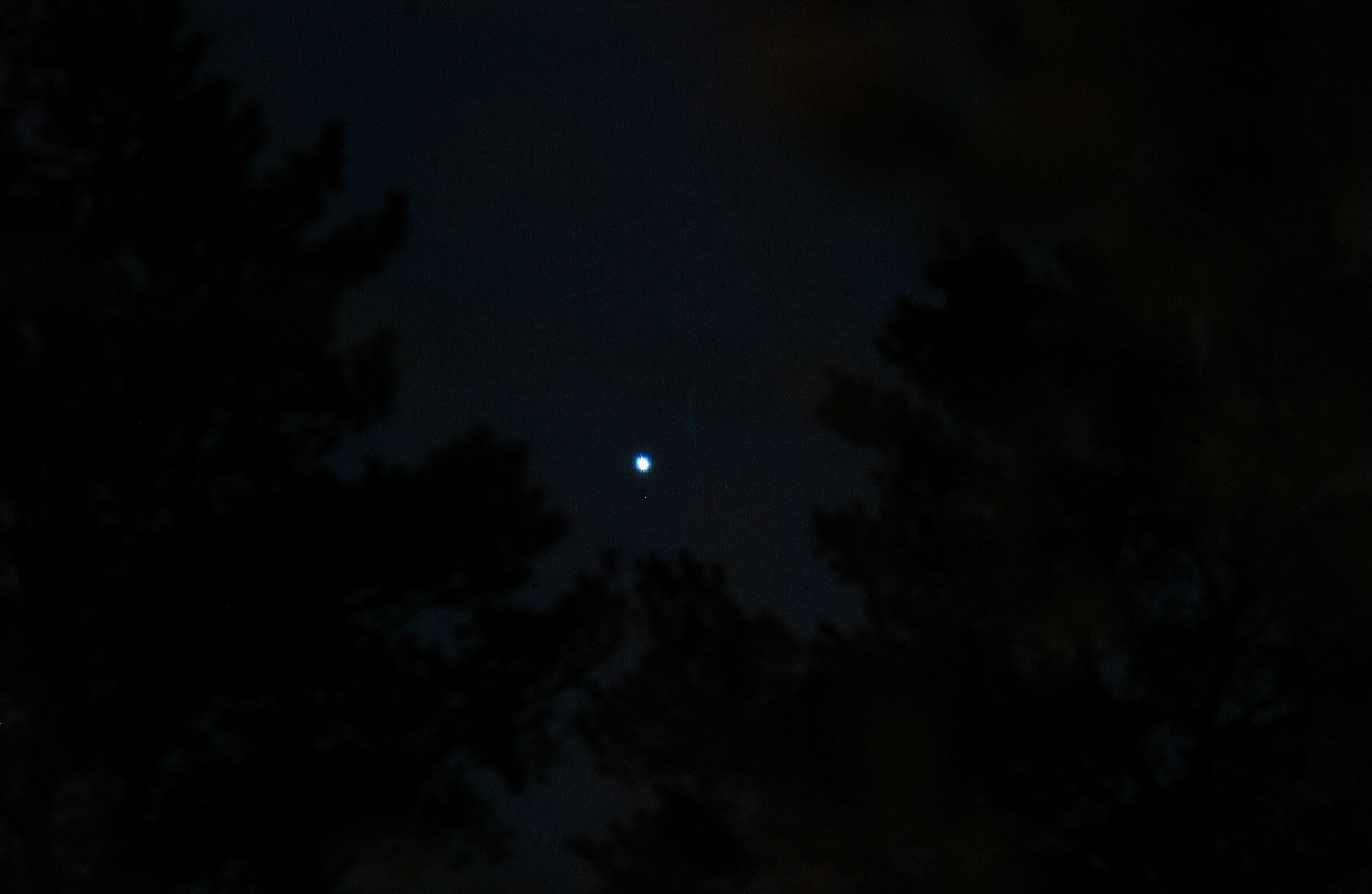 Rising Sirius: Zaffiro del Sud