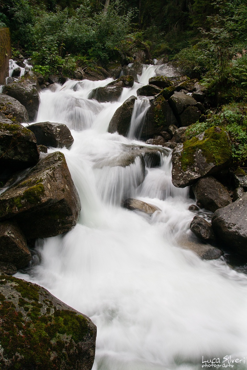 Cascatella in Val di Sole