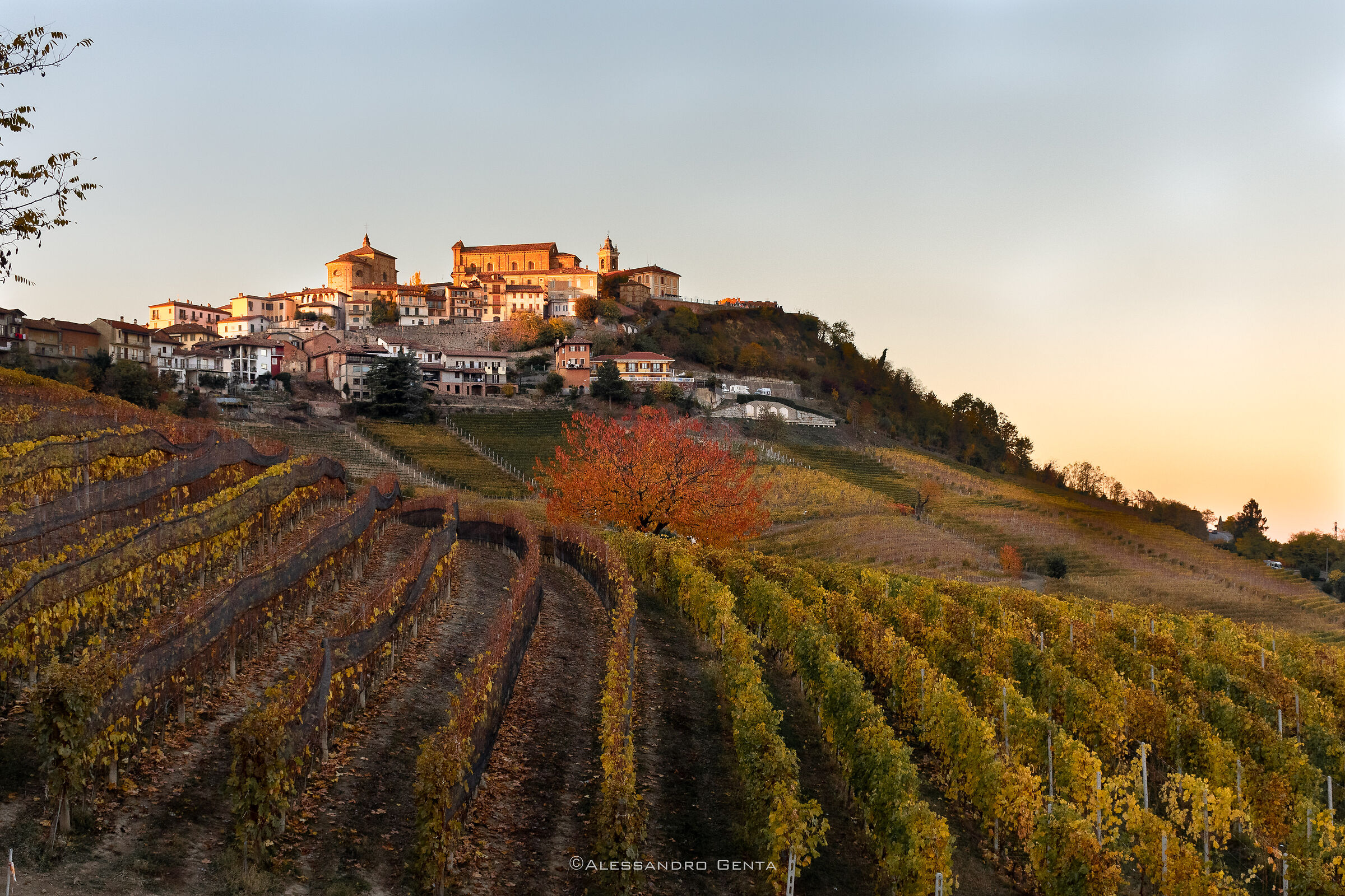 Langhe (Italy)
