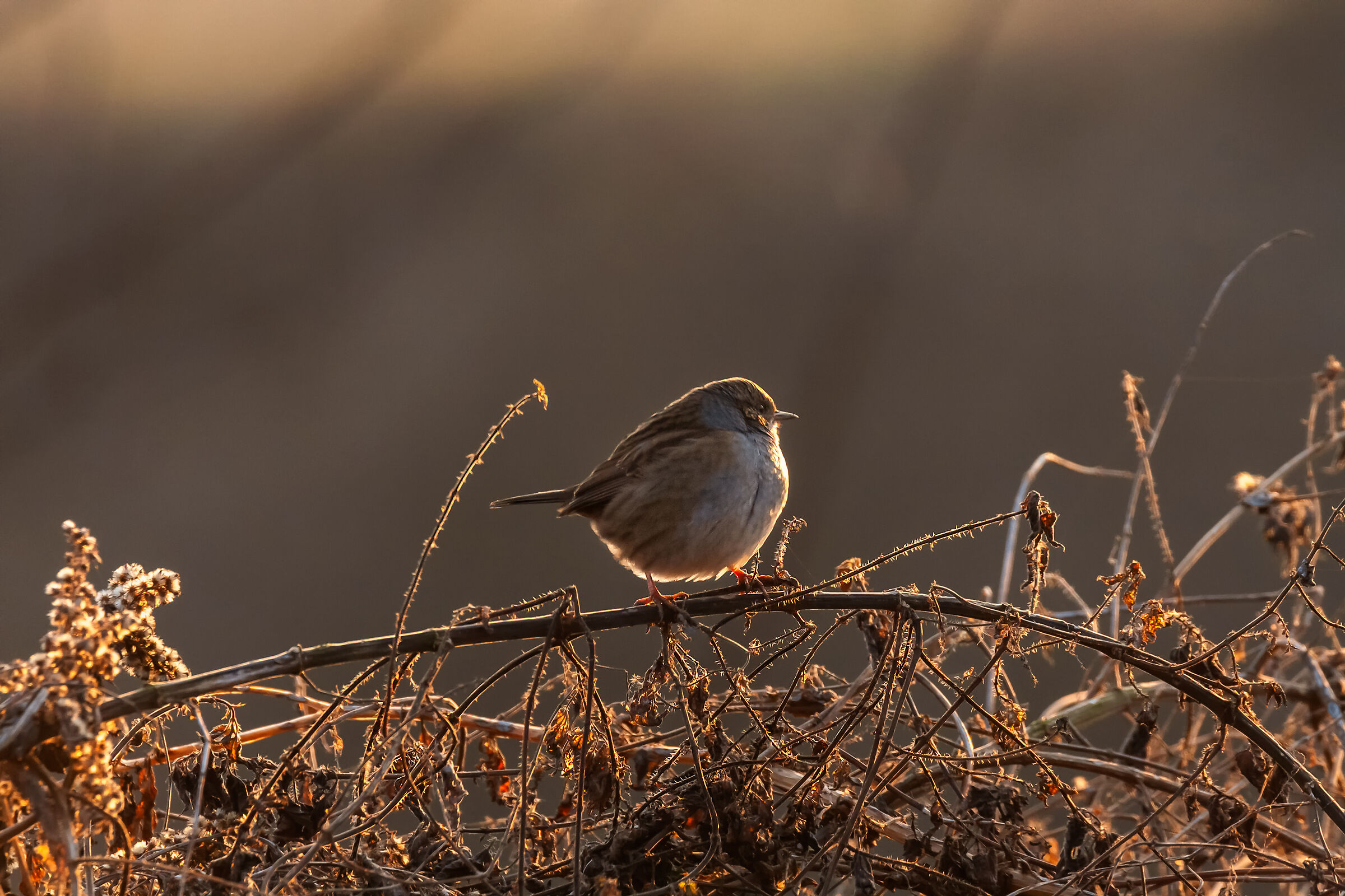 I put it then if you don't like it tell me